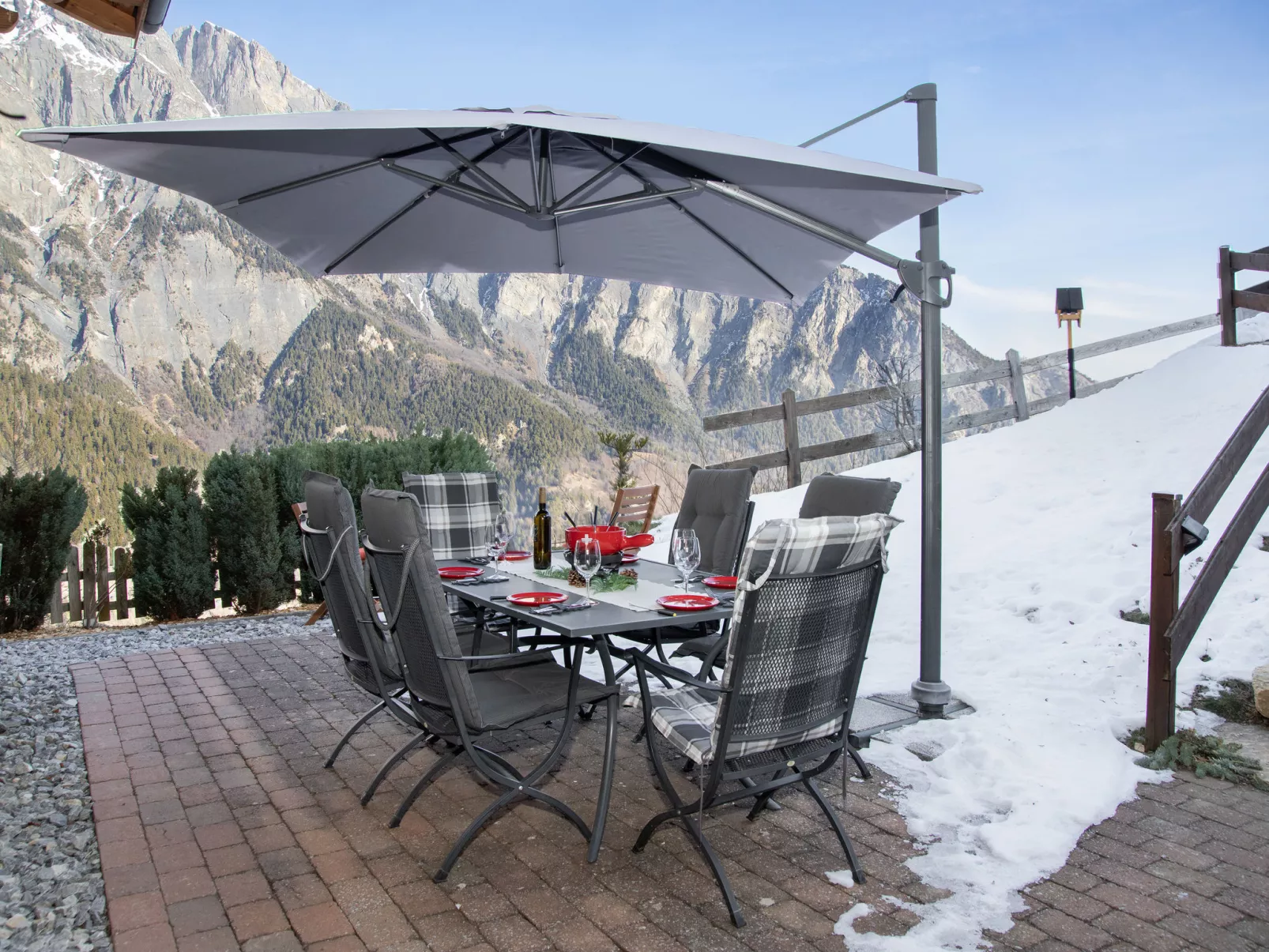 Ecureuil noir - Outside