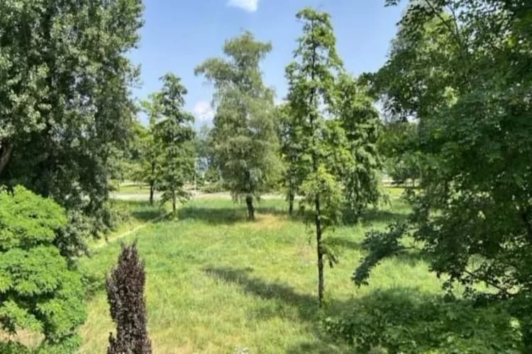 Adonis Divonne-les-Bains T2 Park side - Gardens in summer