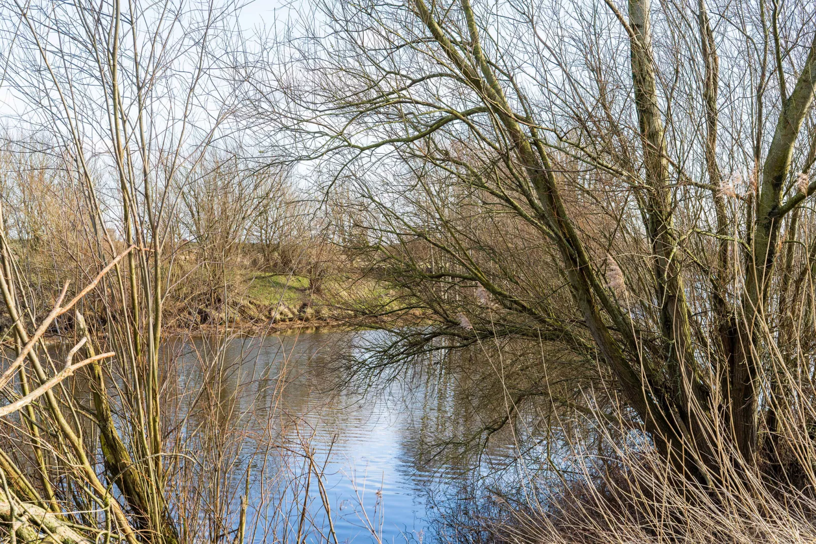 Villa Lacus 553-Zones été à 20 km