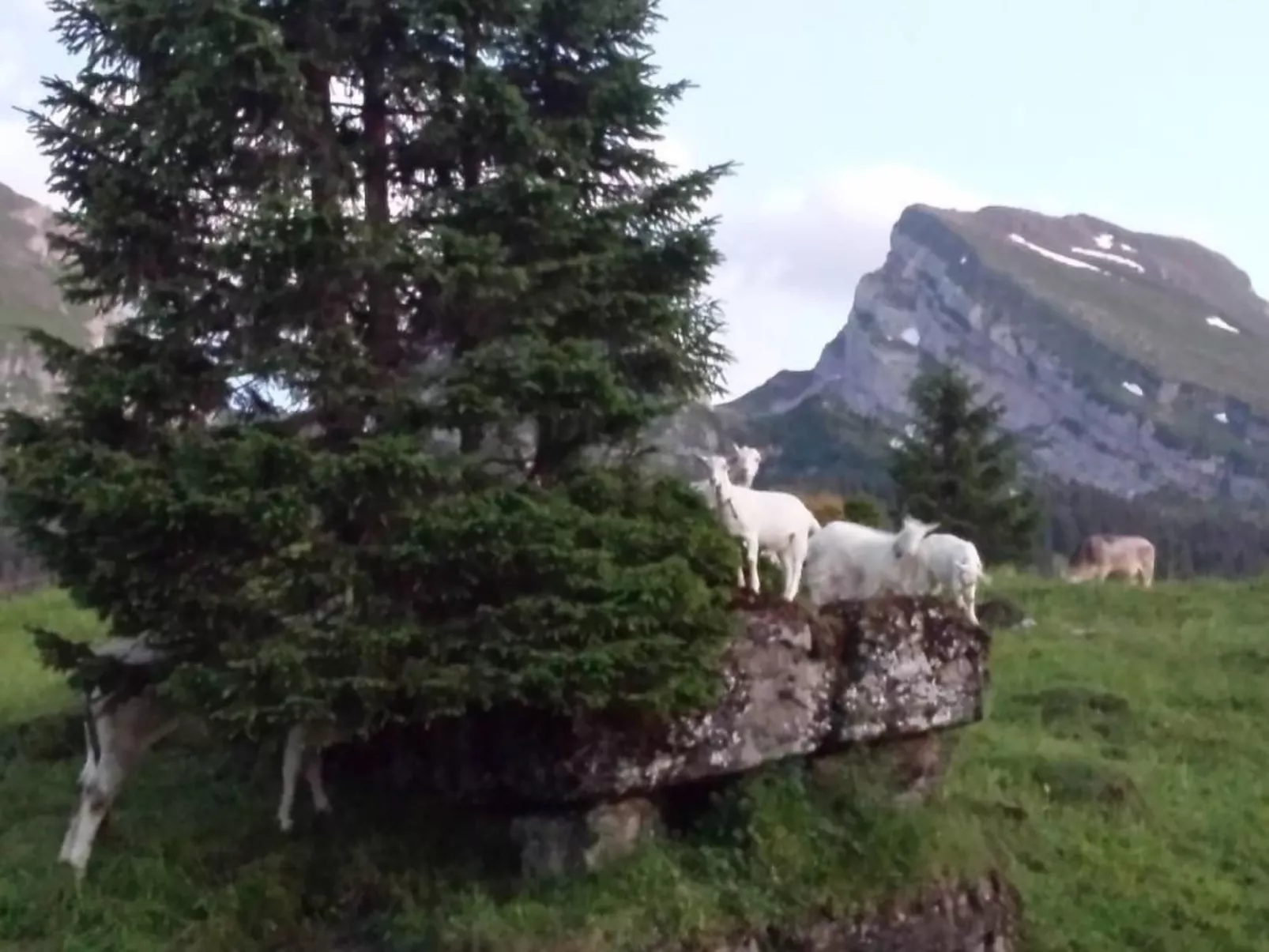 Hof Unterstein - Dehors