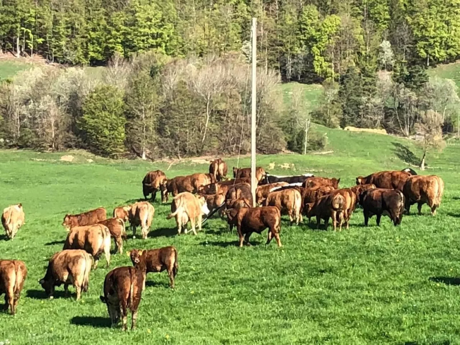 Schafmatthof 1 Obergeschoss - Draußen