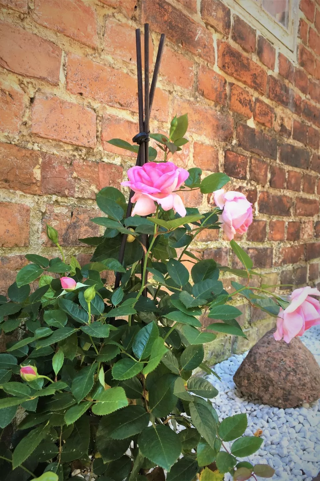 FH Godewind***** 45 - Draußen