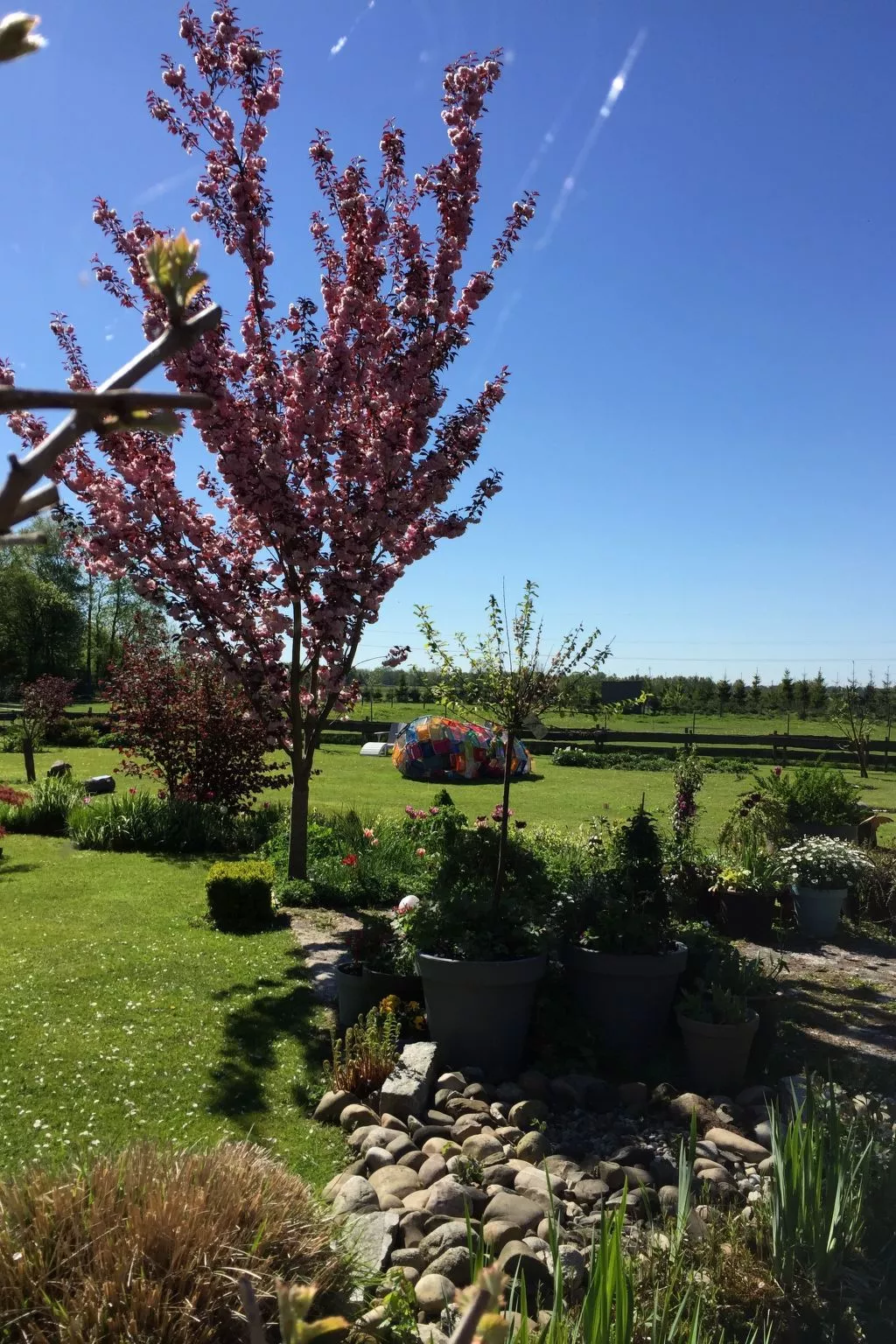 Logeerkamers "Gästezimmer Dellarte" - Image-tags.info