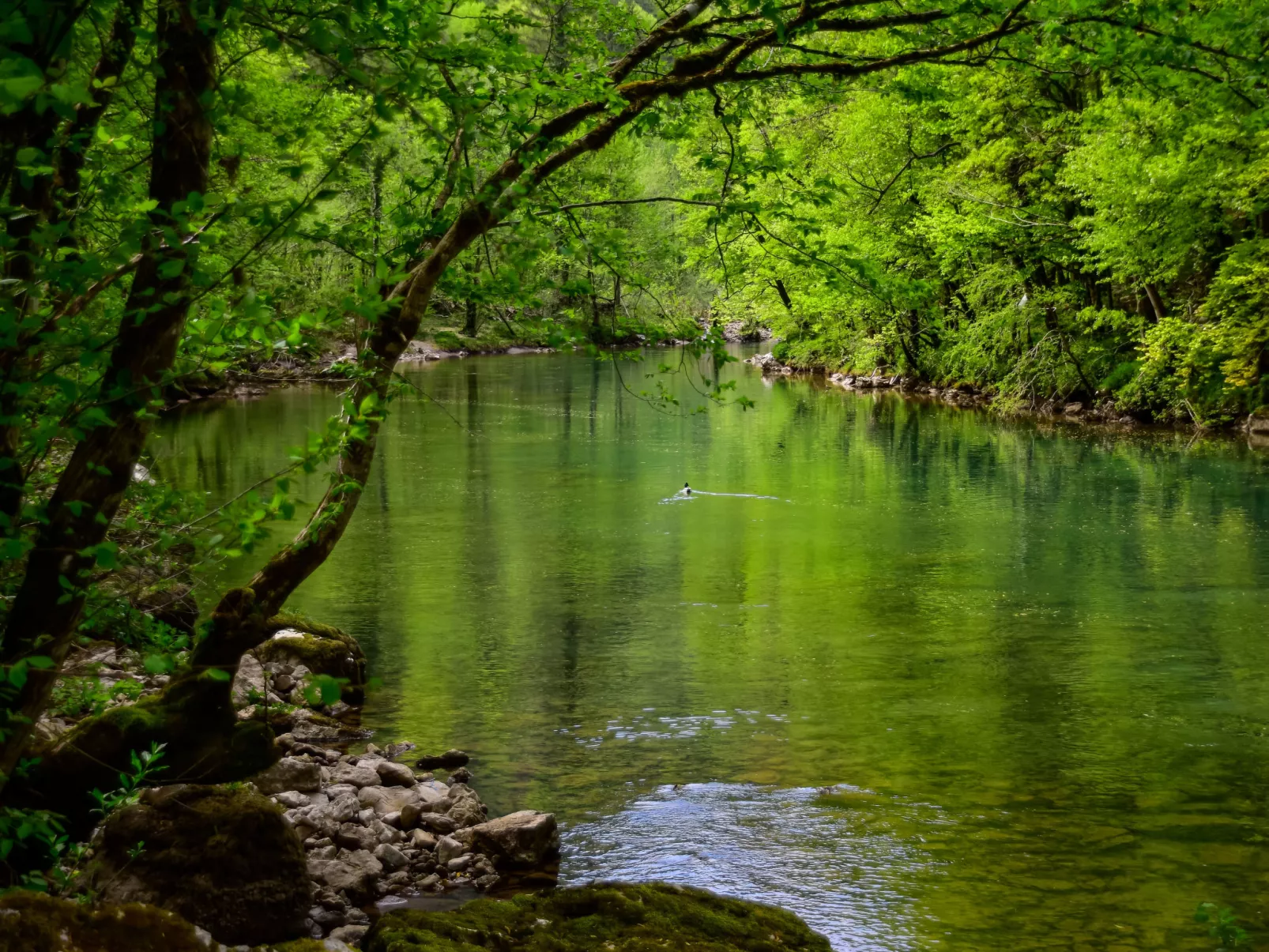 Makov Hrib - Environnement