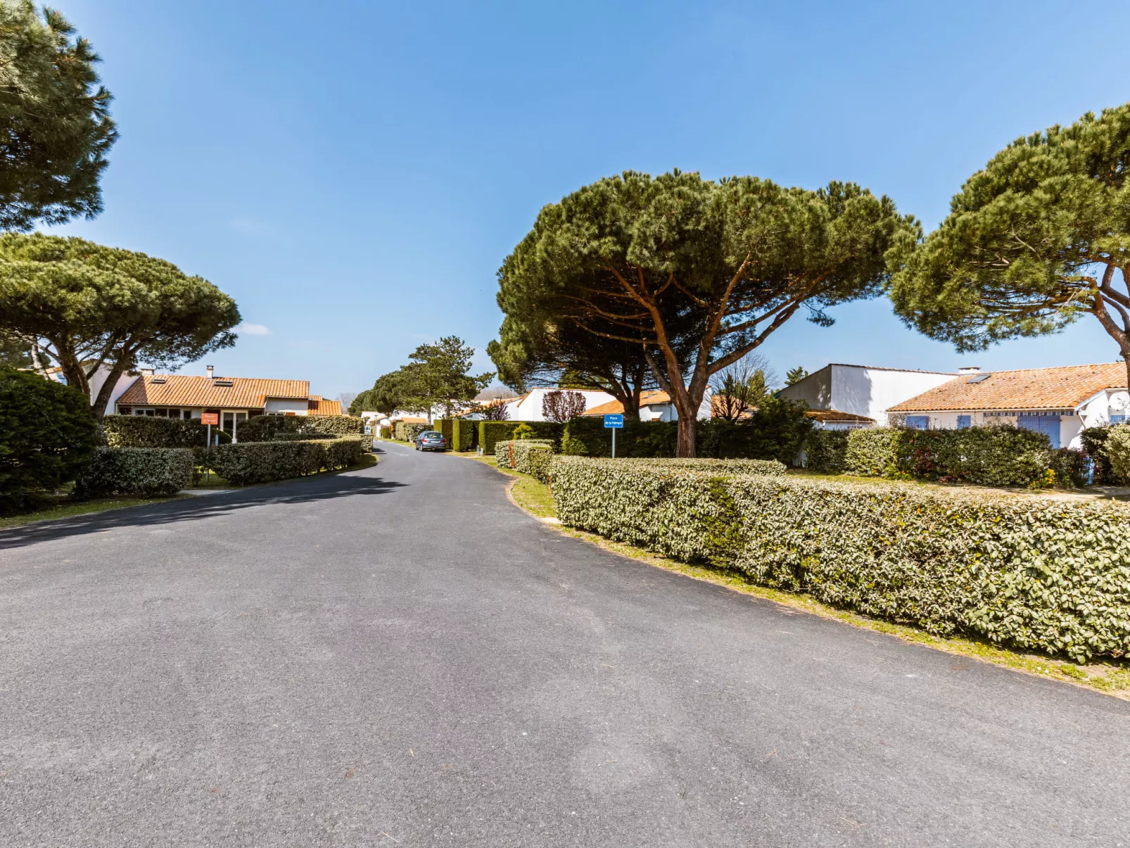 Les Palmyriennes - Draußen