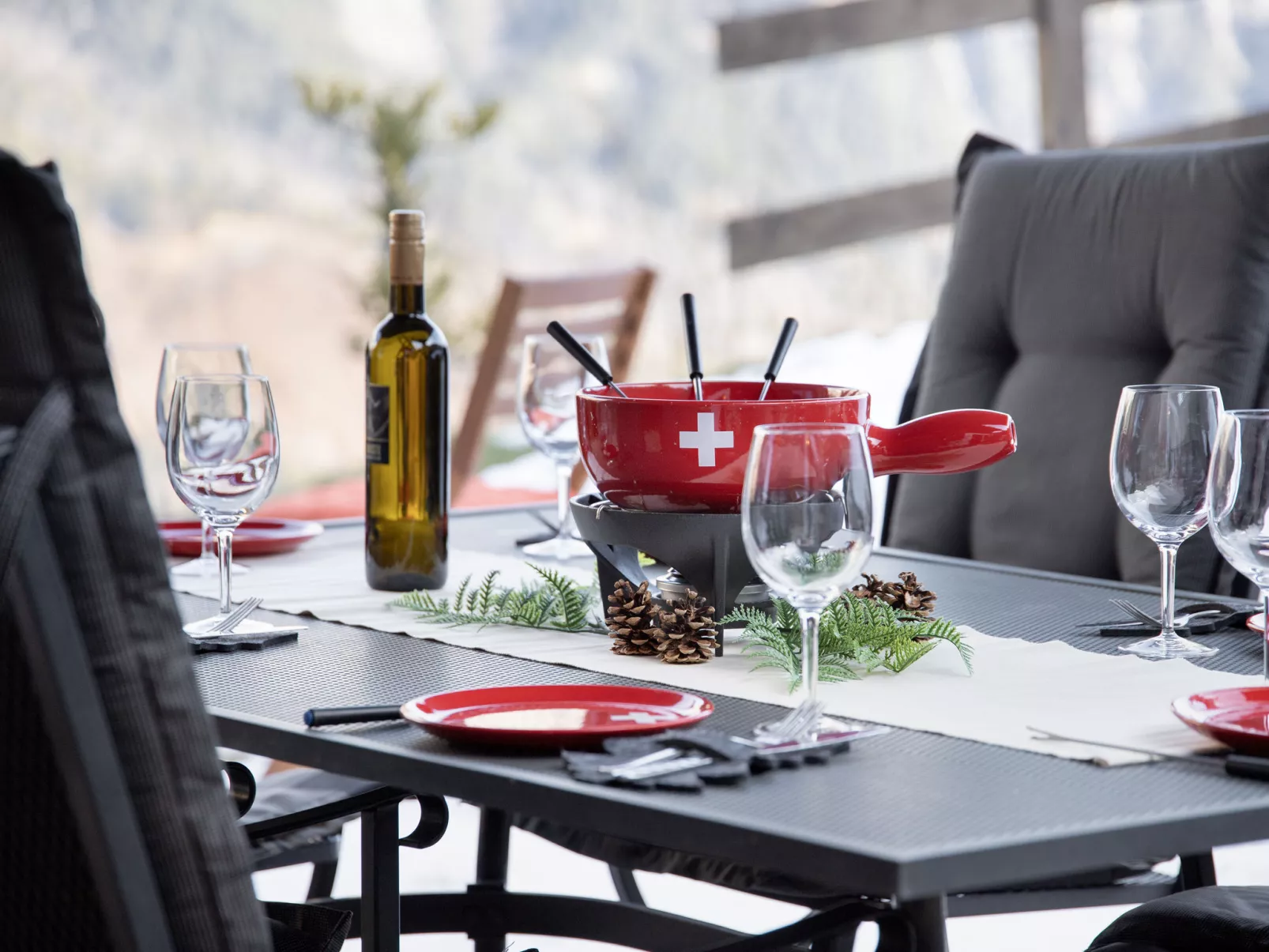 Ecureuil noir - Outside