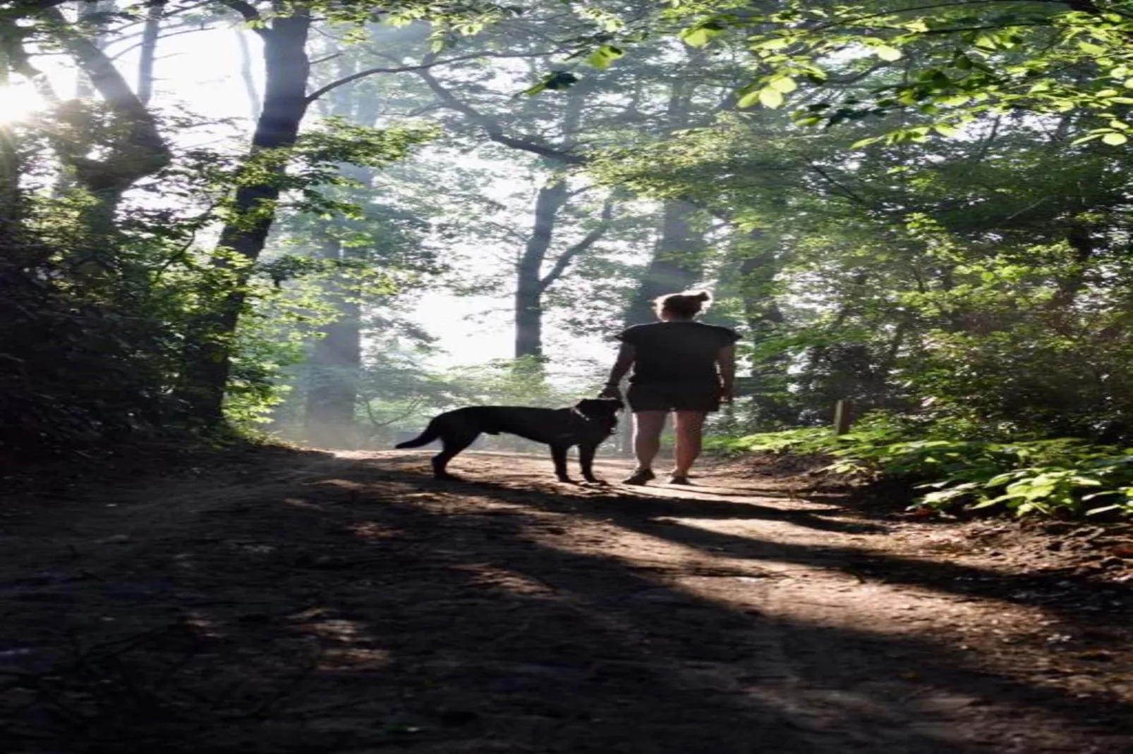 Chalet Egel - Gebiete Sommer 20 km