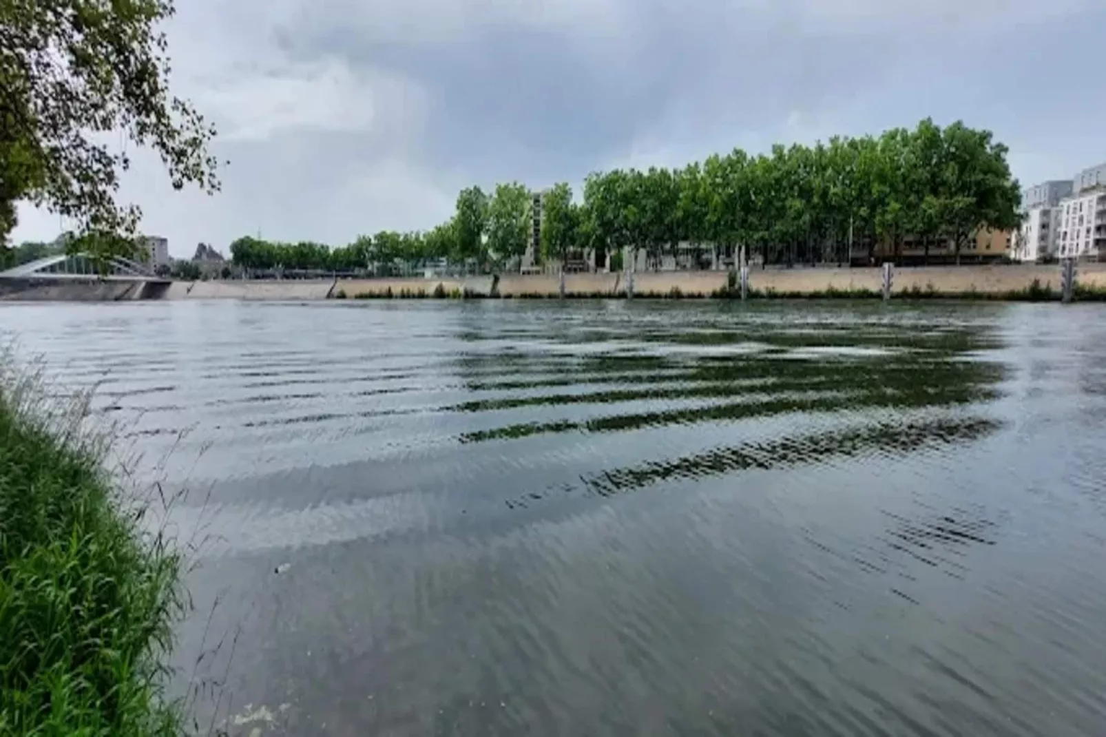 EA-9-PERRIN - Areas within 5km in summer
