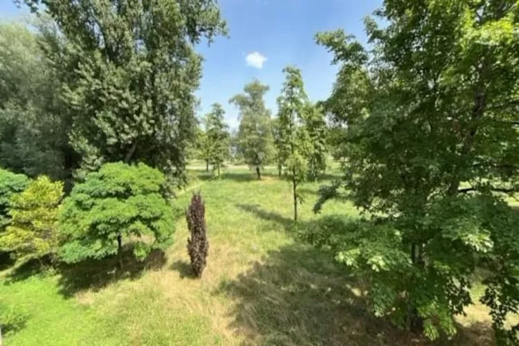 Adonis Divonne-les-Bains T2 Park side - Gardens in summer