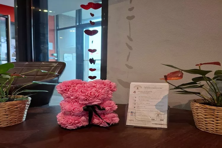 Adonis Paris Double Studio - Ambiente