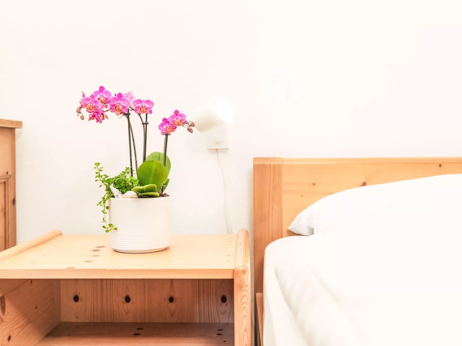 Morteratsch & Grisch - Dedans