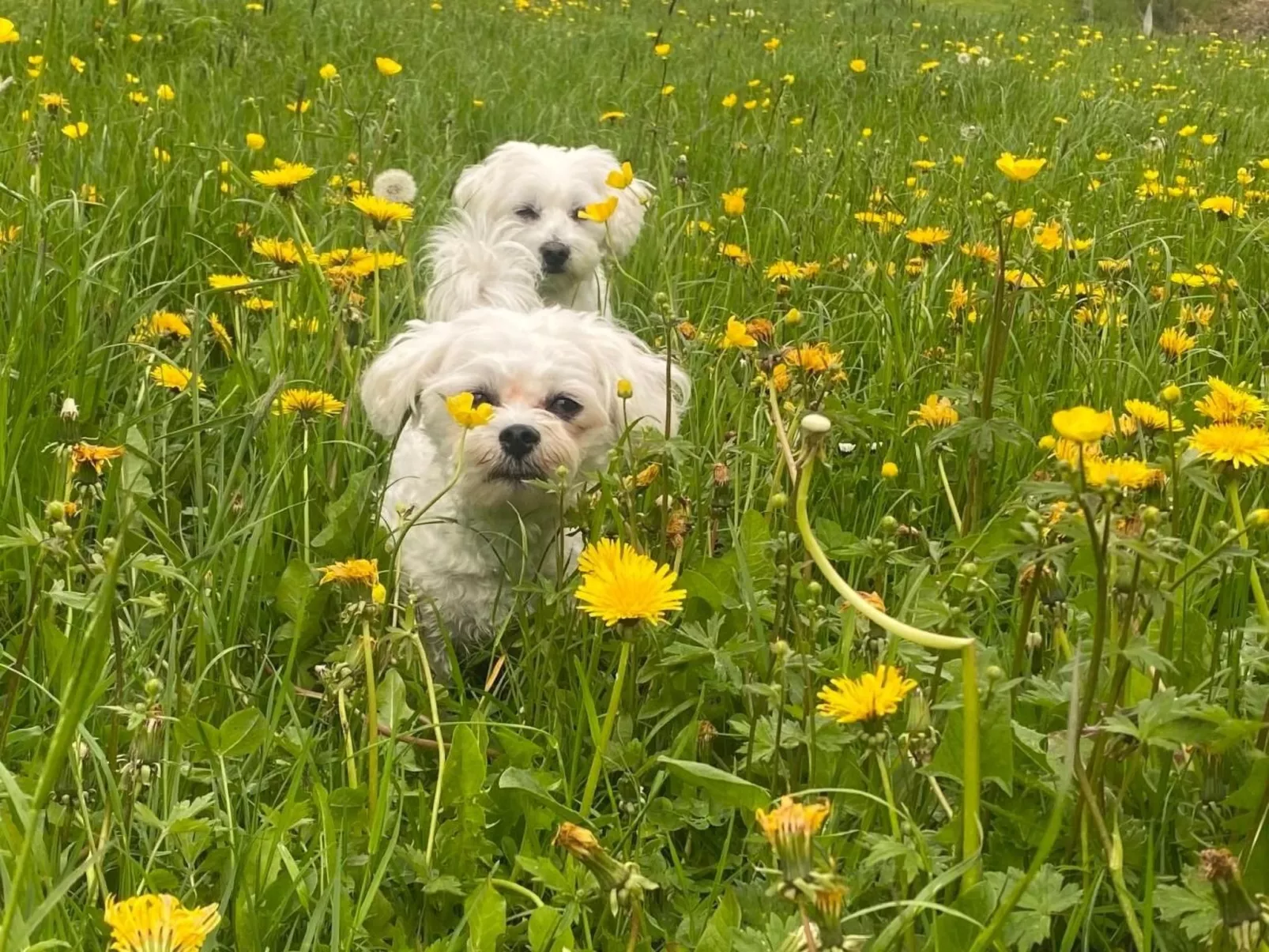 Schafmatthof 1 Obergeschoss - Draußen