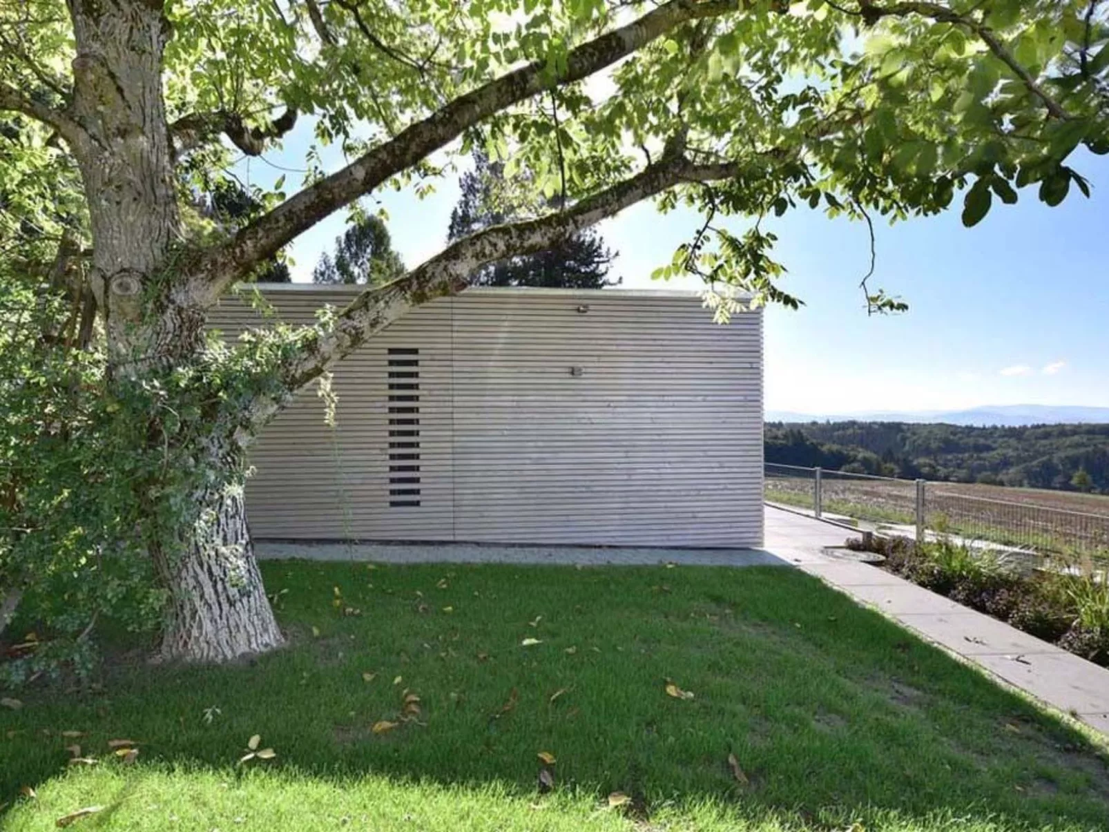 Tinyhaus Adam - Image-tags.info