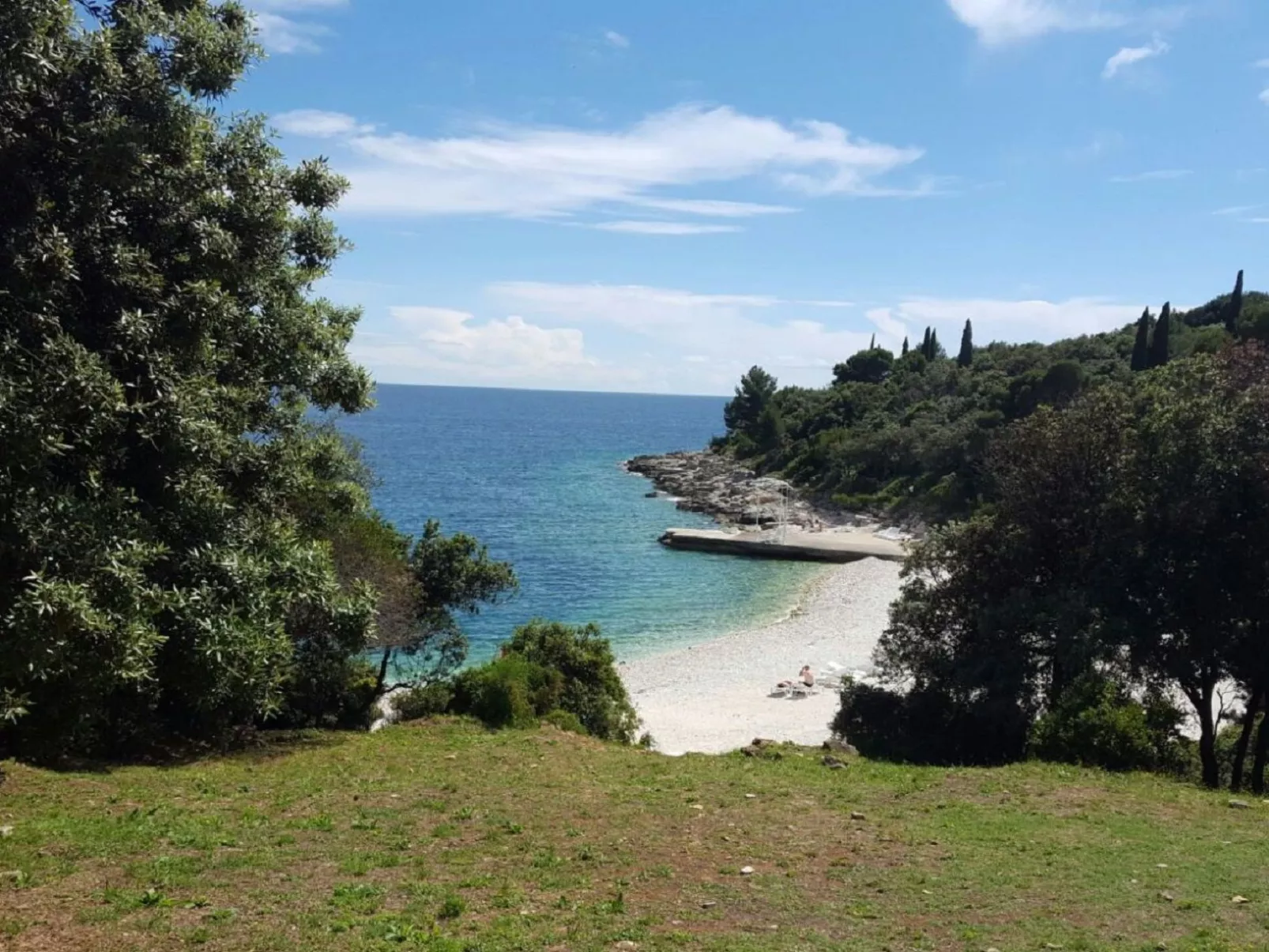 Ginkgo 4 - Image-tags.info