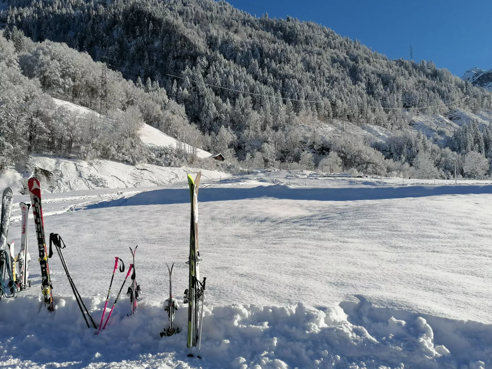 Mattishüüsli - Dehors