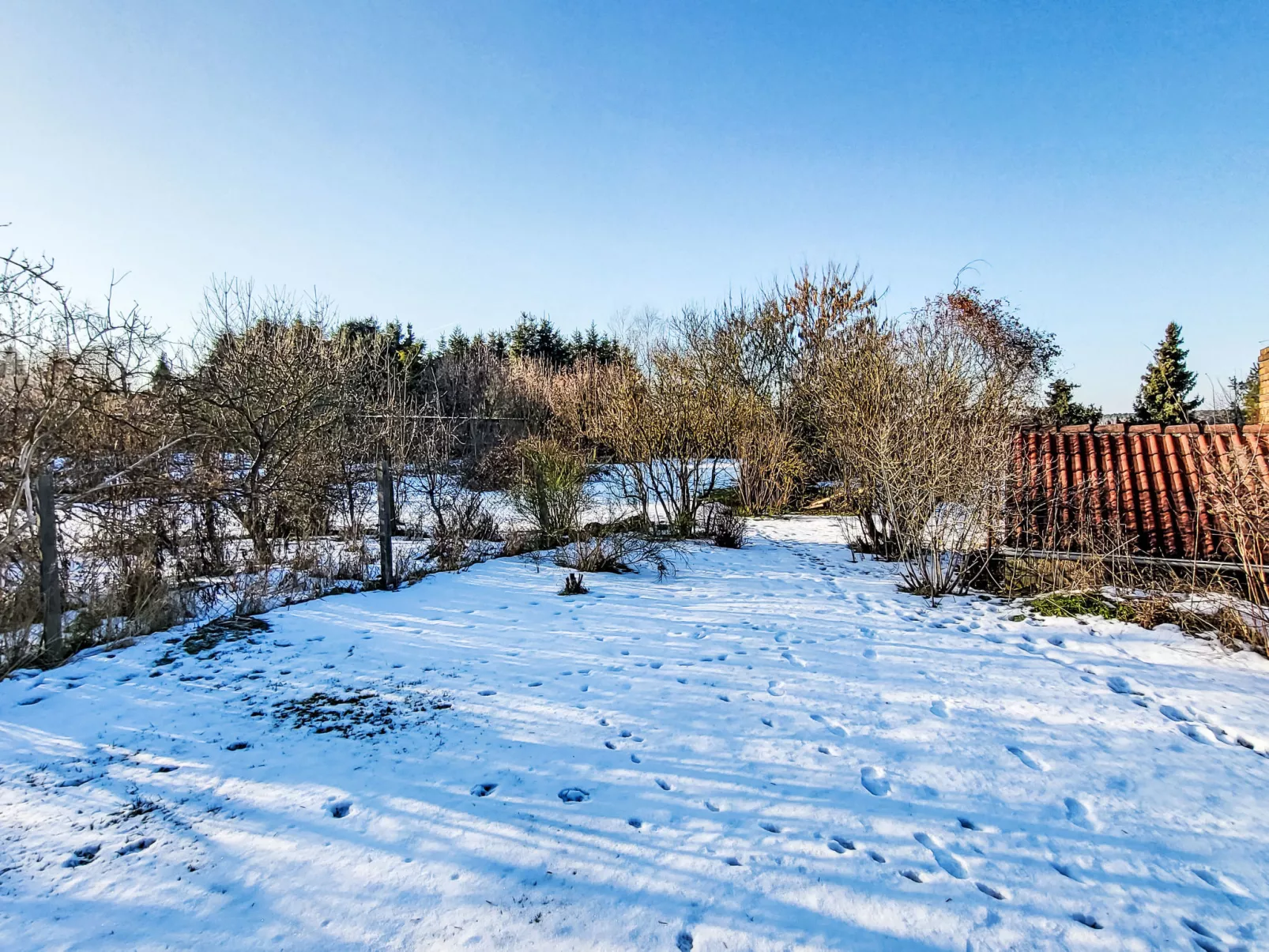 Mit großem eingezäunten Garten - Draußen