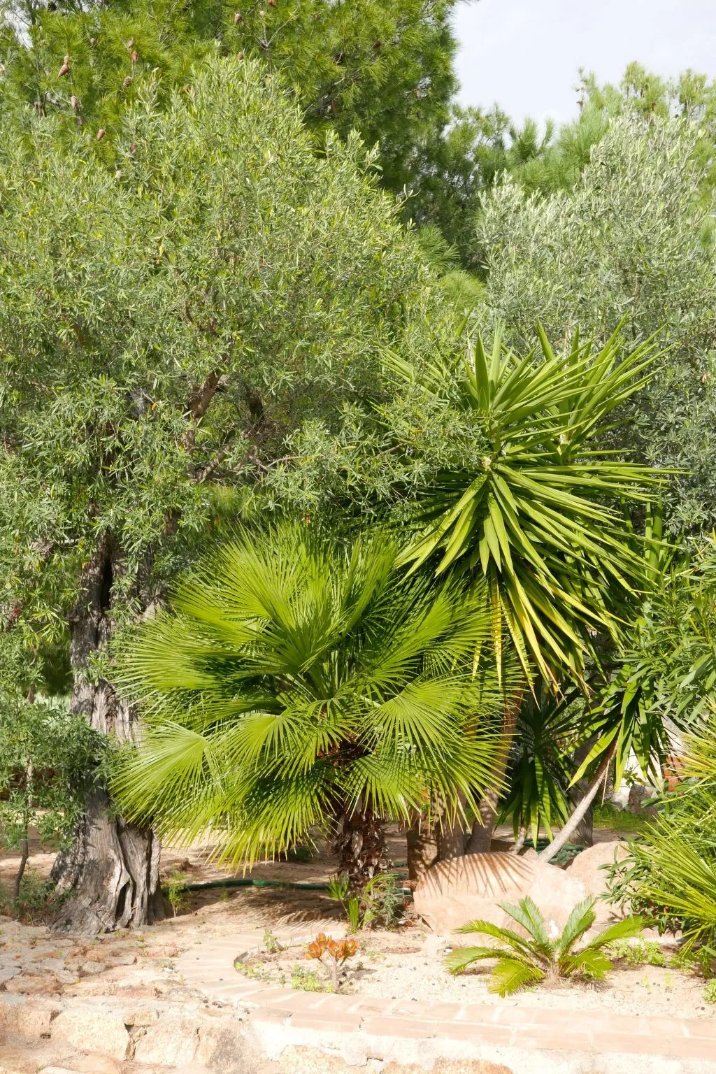 "Cosima" mit Blick auf das Wasser - Outside