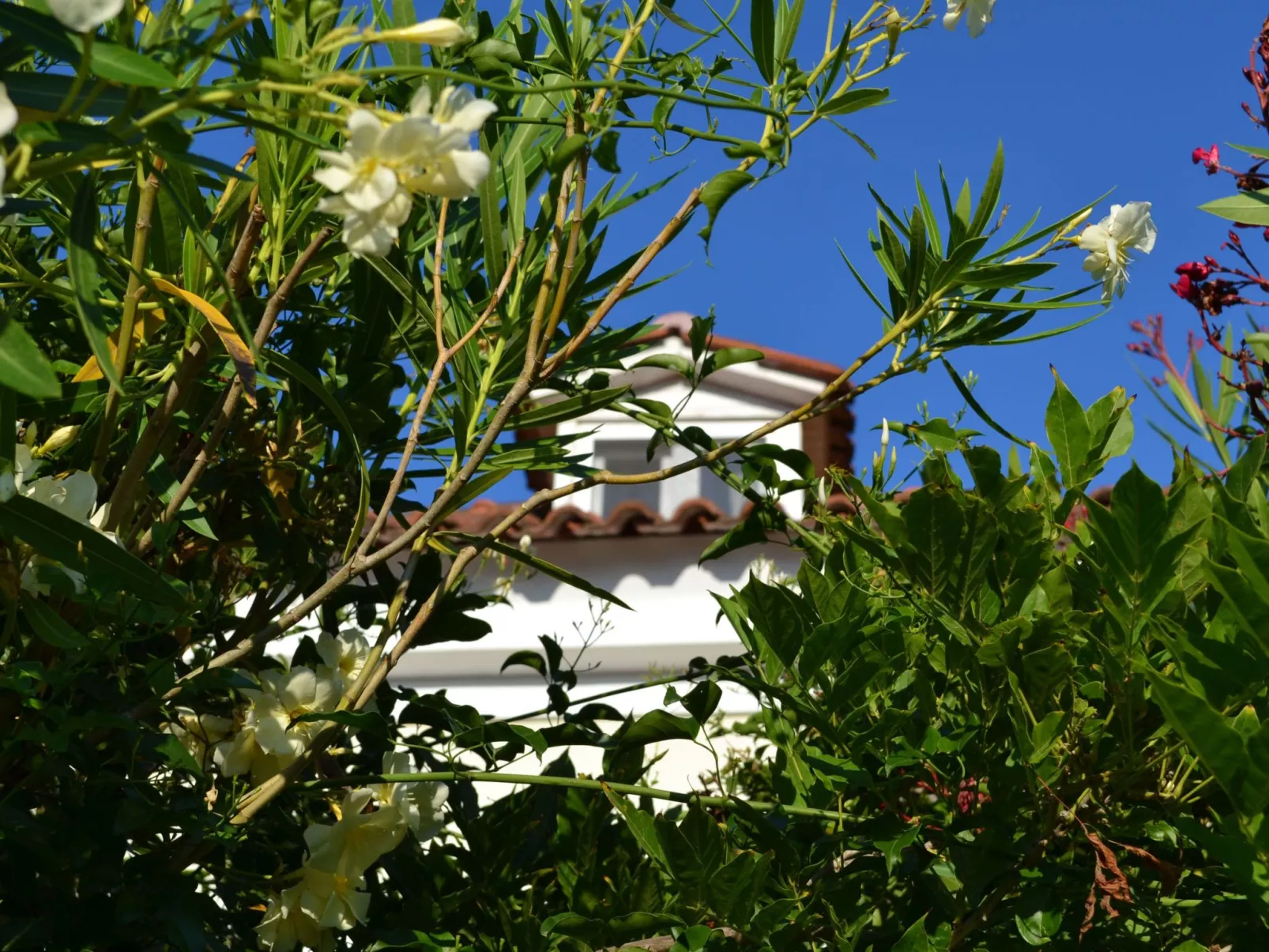 Anwesen mit Garten, Grill und Terrasse - Draußen