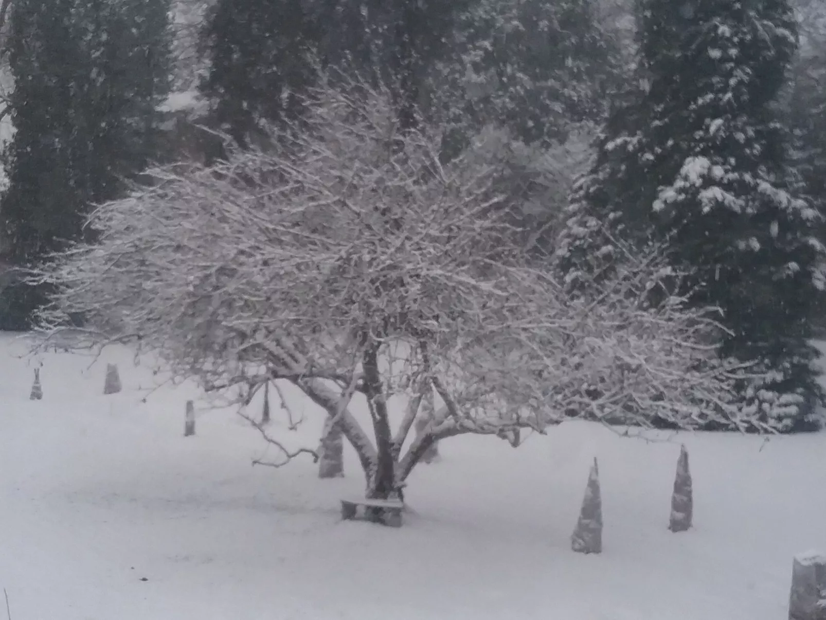 MaisonMazerand    Wohnen - Entspannen - Genießen - Draußen