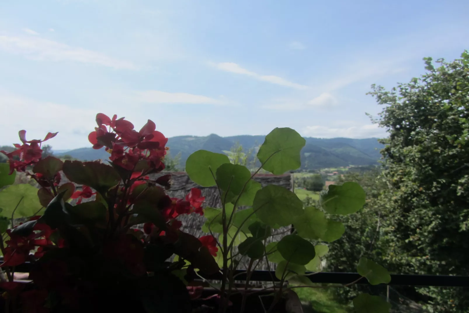 Casa Rural Astobieta - View in summer