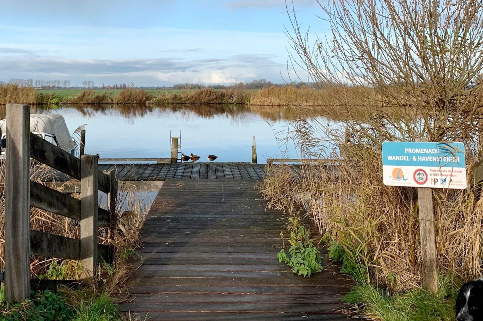 Combinatiewoningen Wolters - Gebiet Winter 1 km