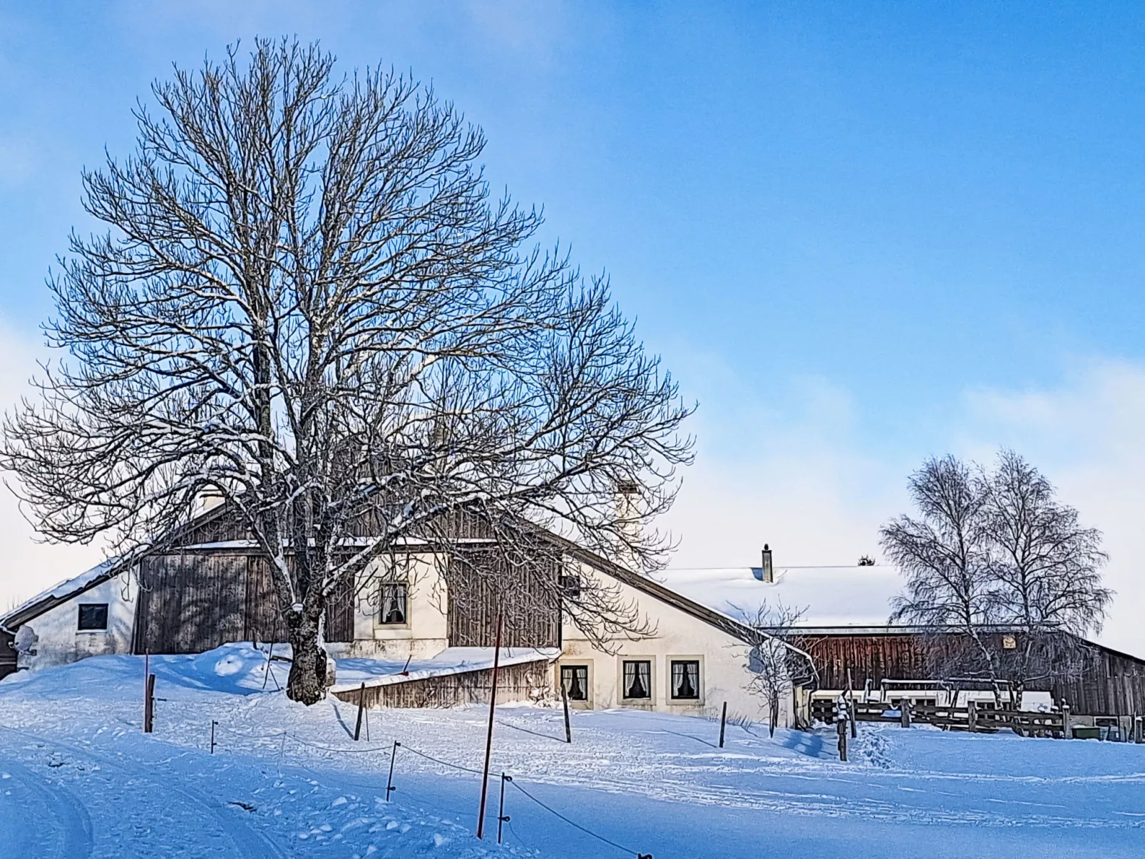 Les Grangettes - Dehors