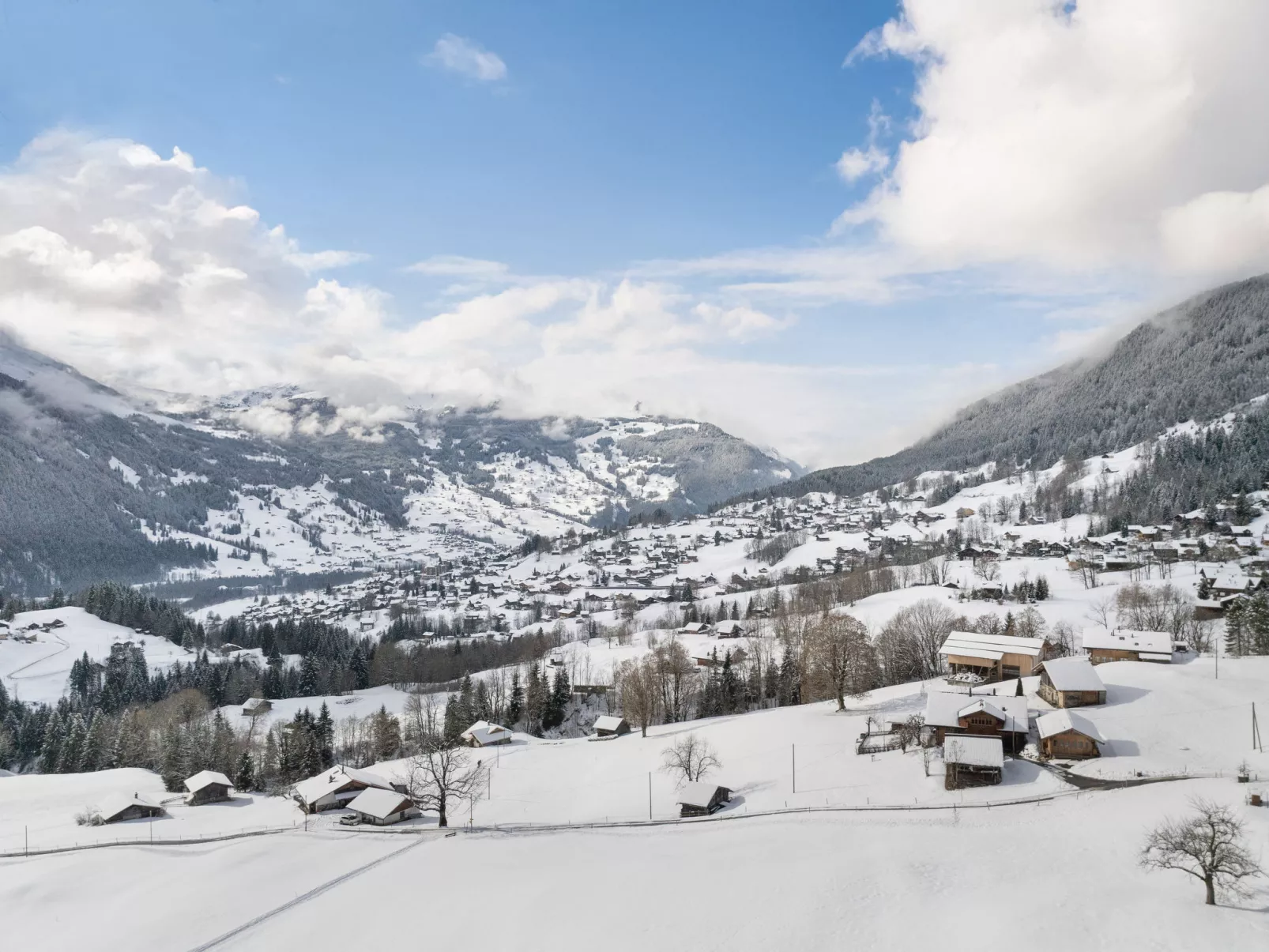 Chalet Chiebrendli - Area