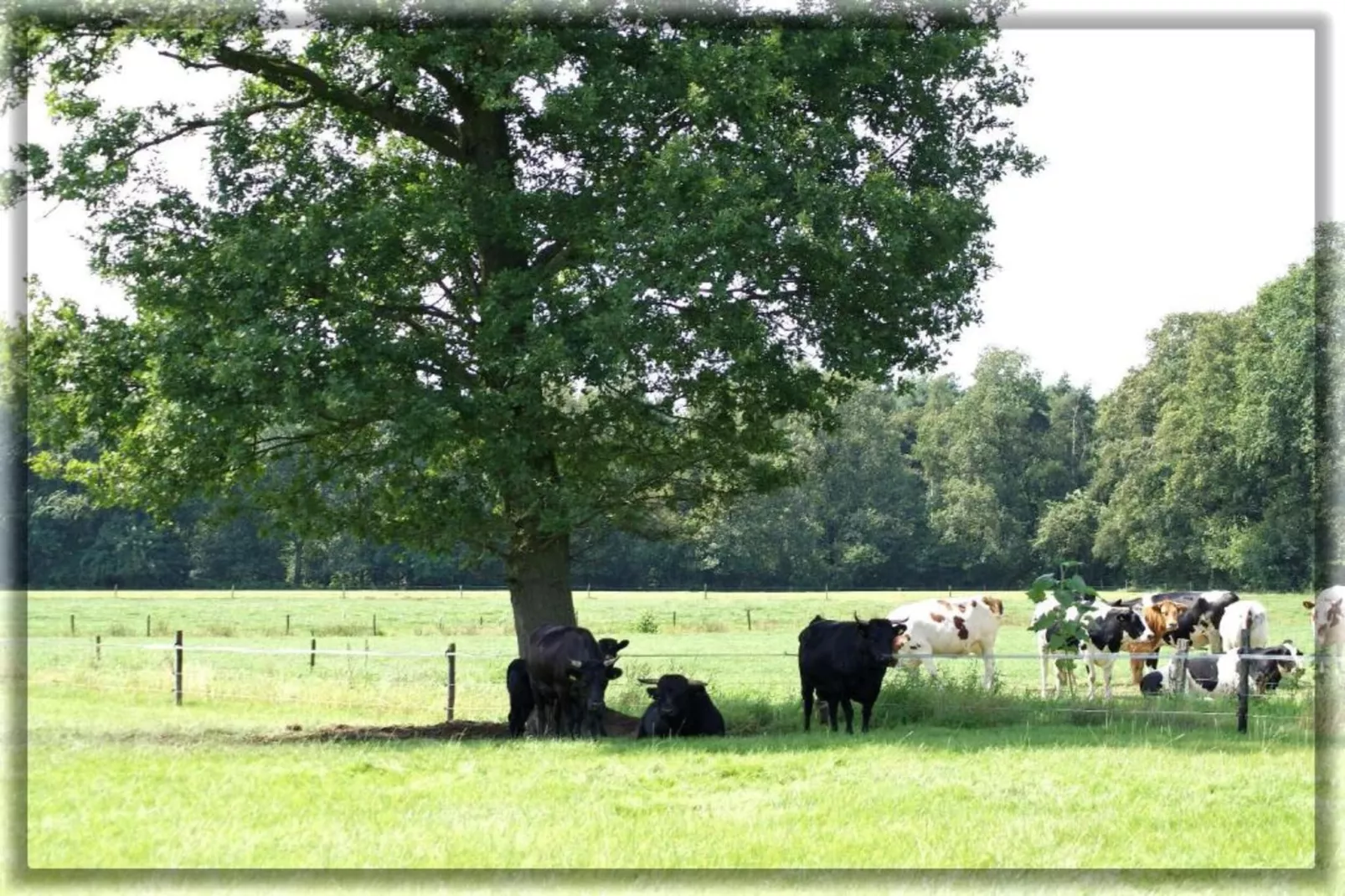 Chalet Egel - Gebiete Sommer 20 km