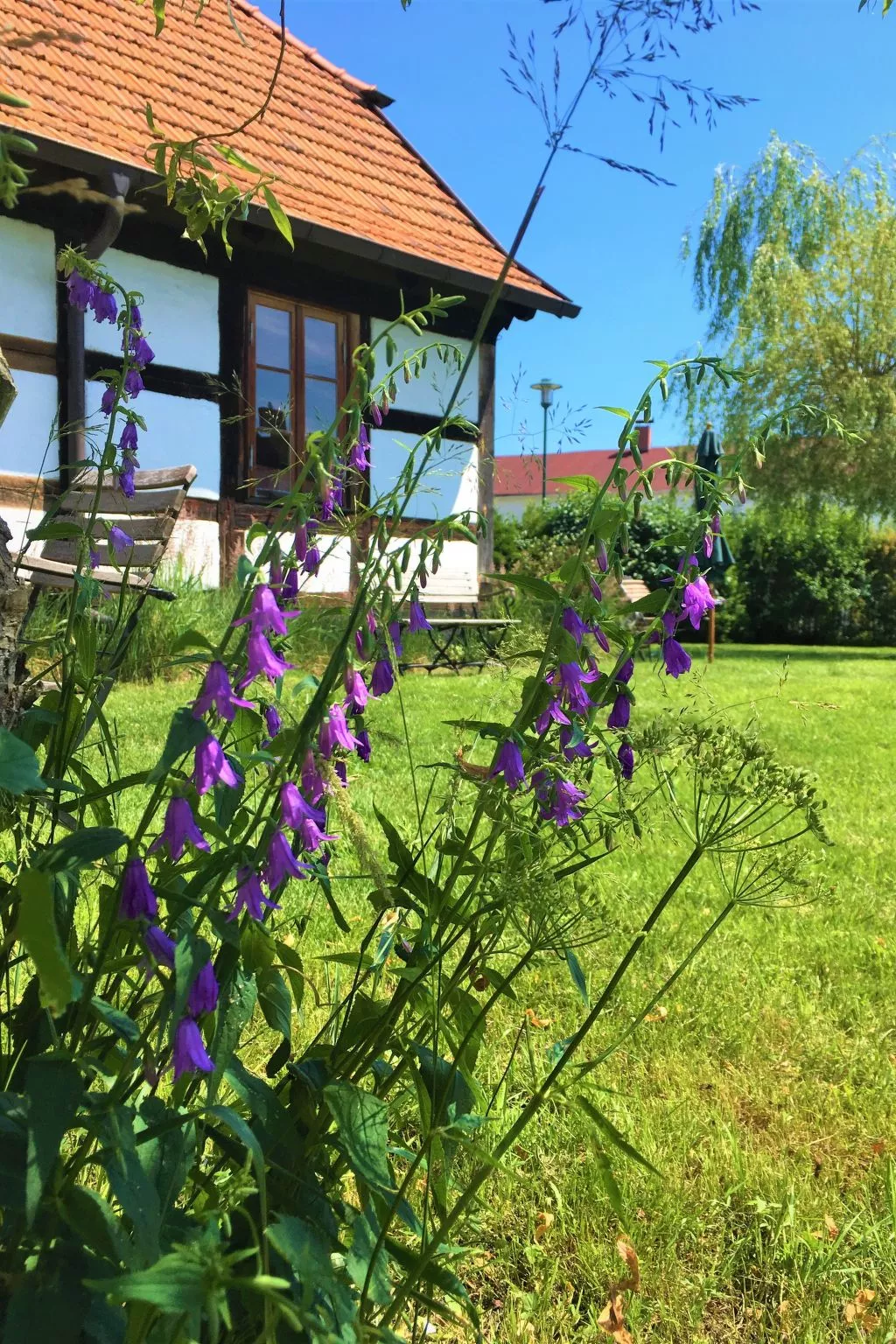 FH Godewind***** 45 - Draußen