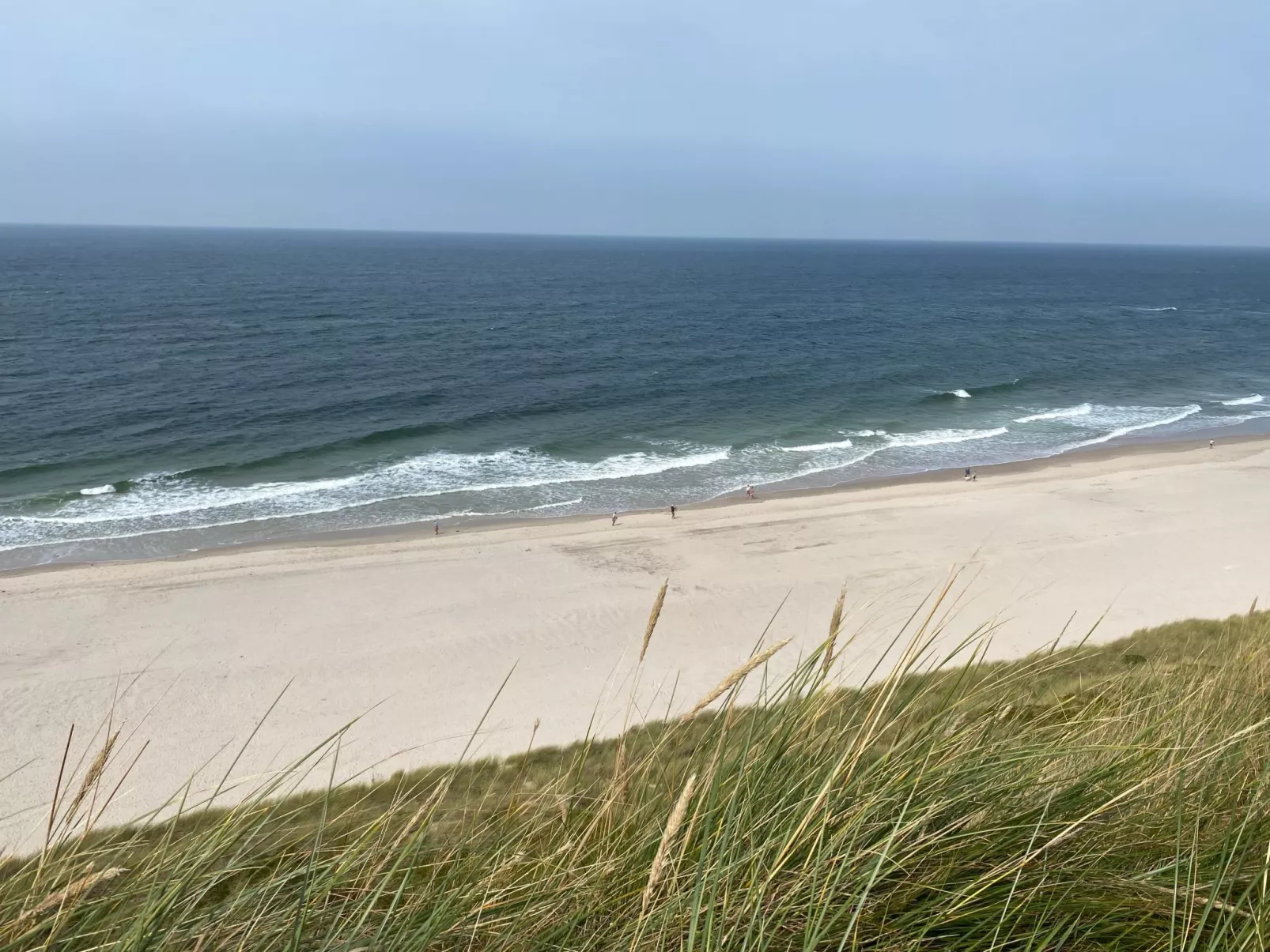 Kliff in Kampen auf Sylt - Dehors