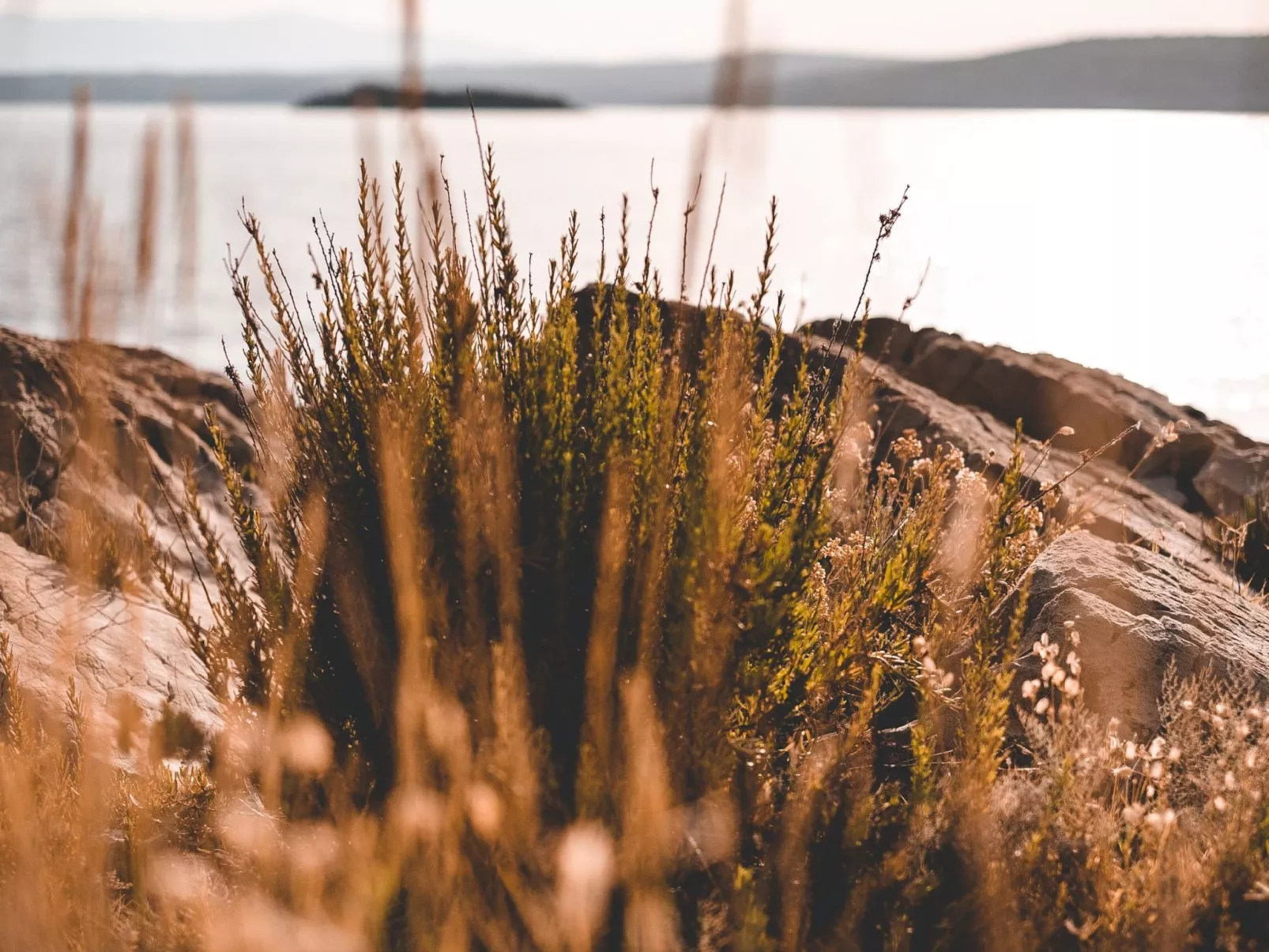 Haus am Meer Šolta - Draußen