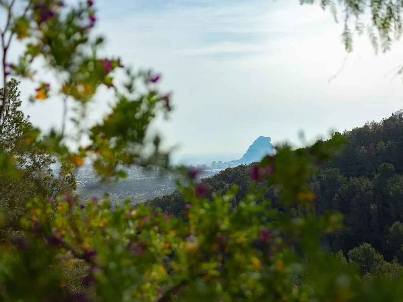 Villa Verena - Plusholidays - Image-tags.info