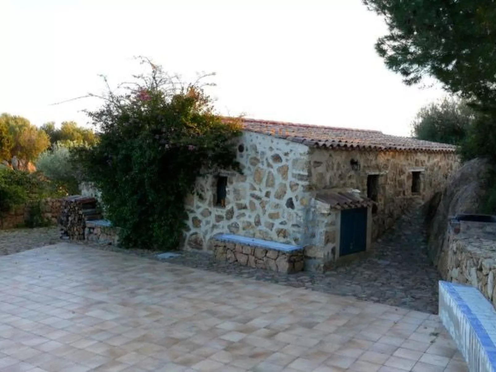 "Anania - Image-tags.info