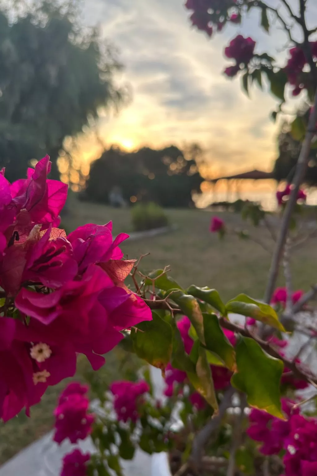 Genari Beach Atemberaubender Aufenthalt mit Meerblick - Draußen