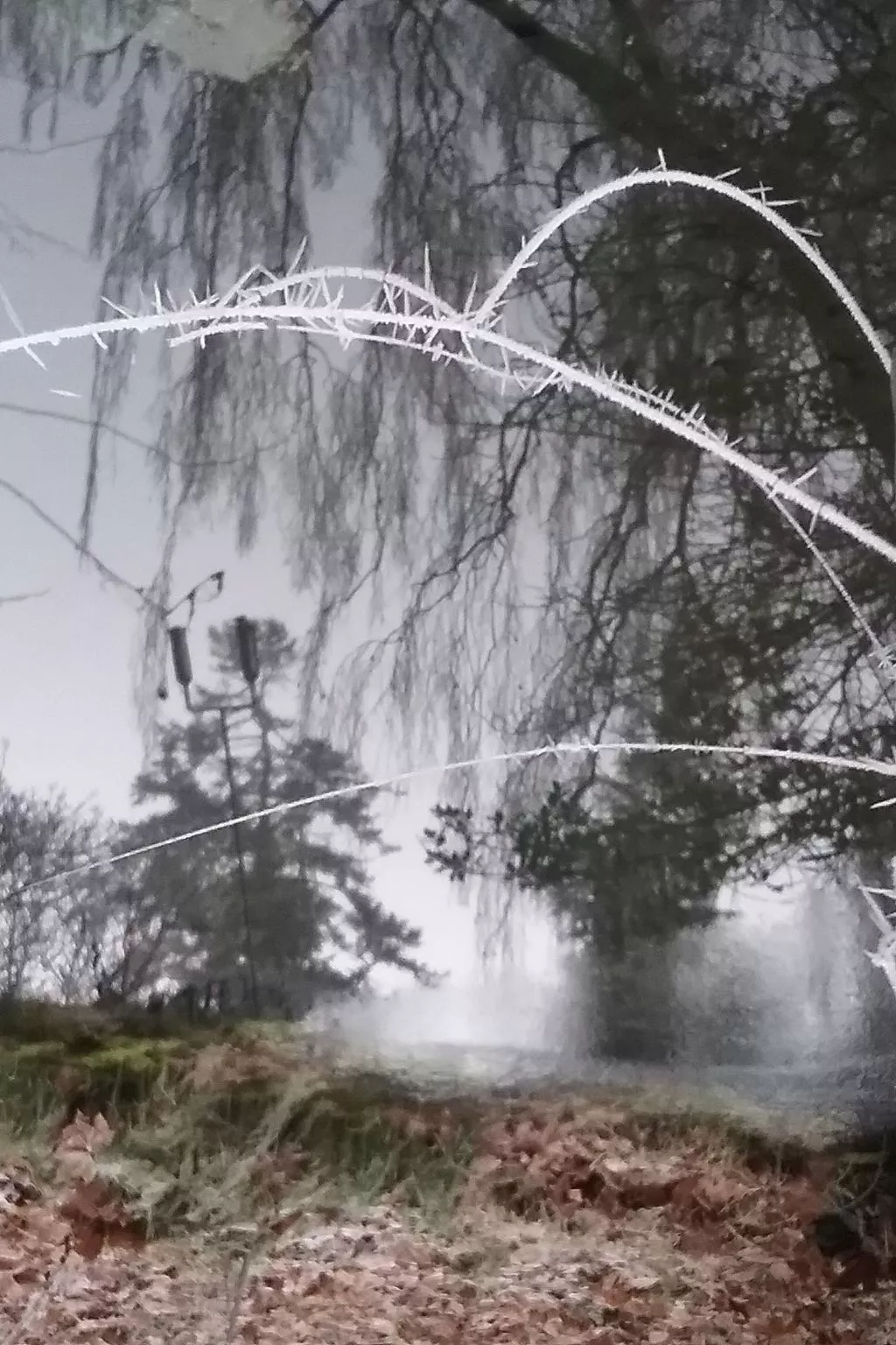 MaisonMazerand    Wohnen - Entspannen - Genießen - Draußen