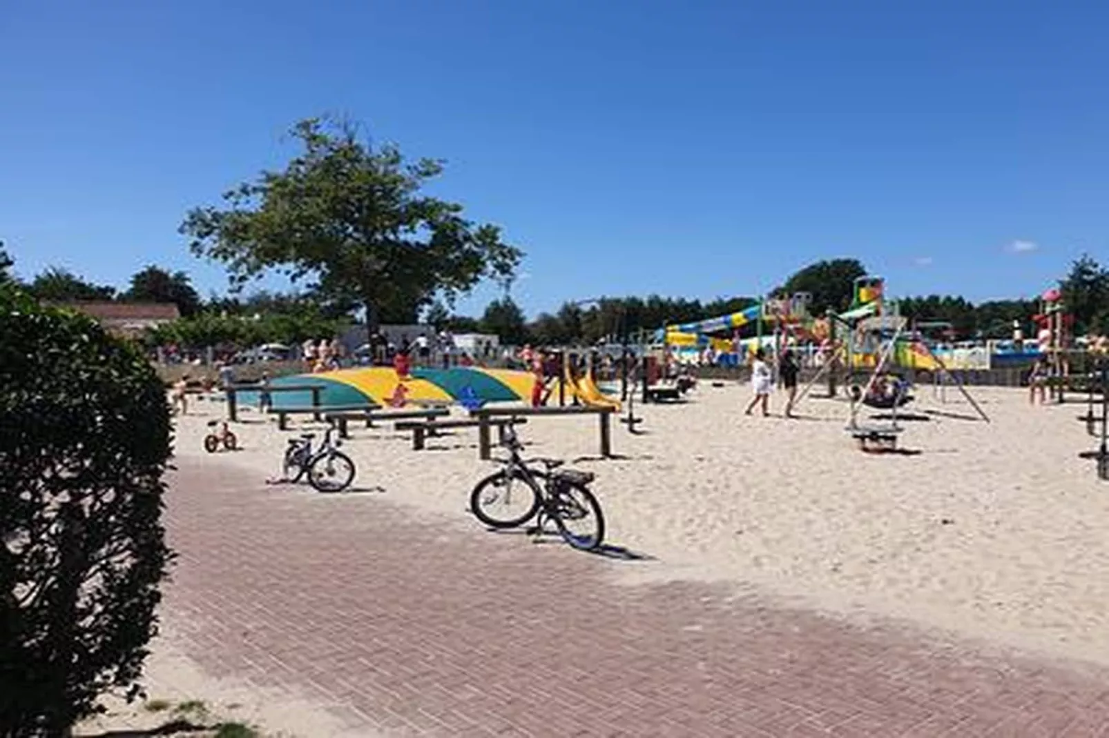 Duinhoeve chalet Schelp - Gebiete Sommer 1 km