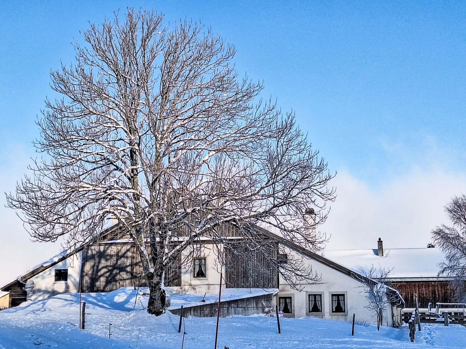 Les Grangettes - Dehors