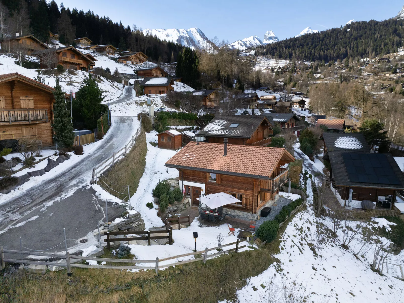 Ecureuil noir - Outside