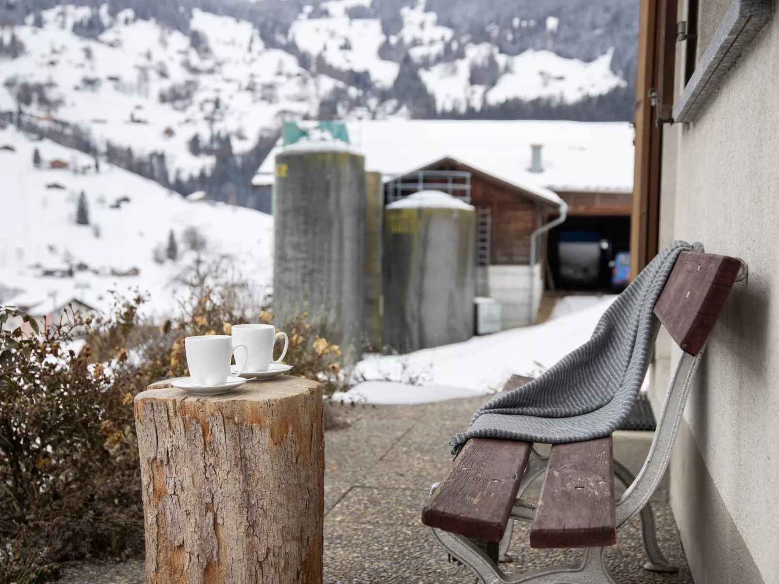 Chalet Reinhysi - Outside
