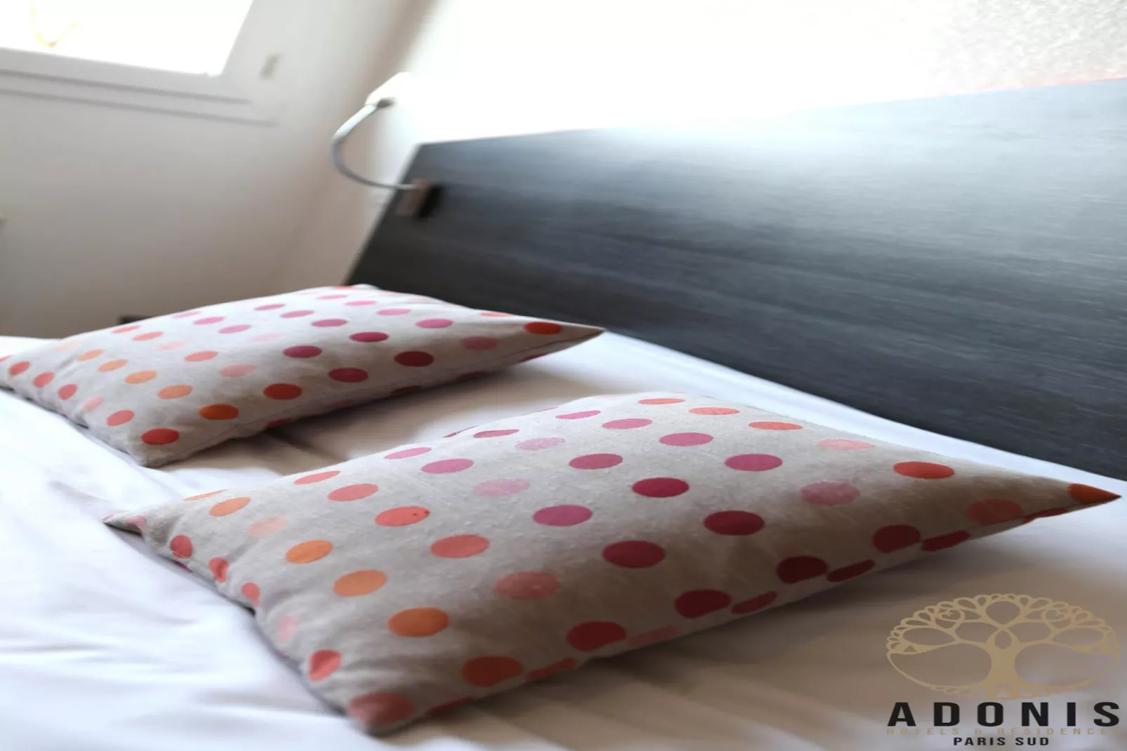 Adonis Paris Double Studio - Ambiente
