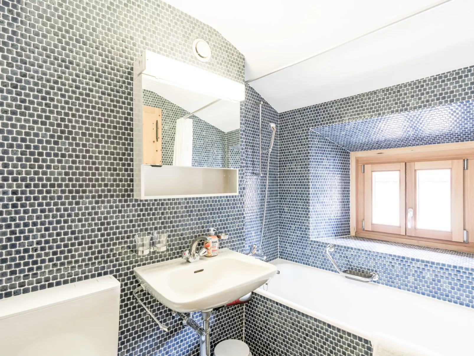 Morteratsch & Grisch - Dedans