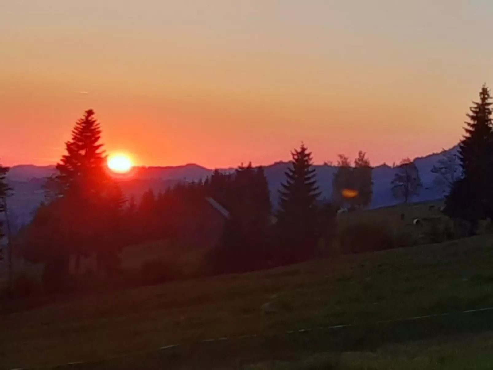 Hof Unterstein - Dehors