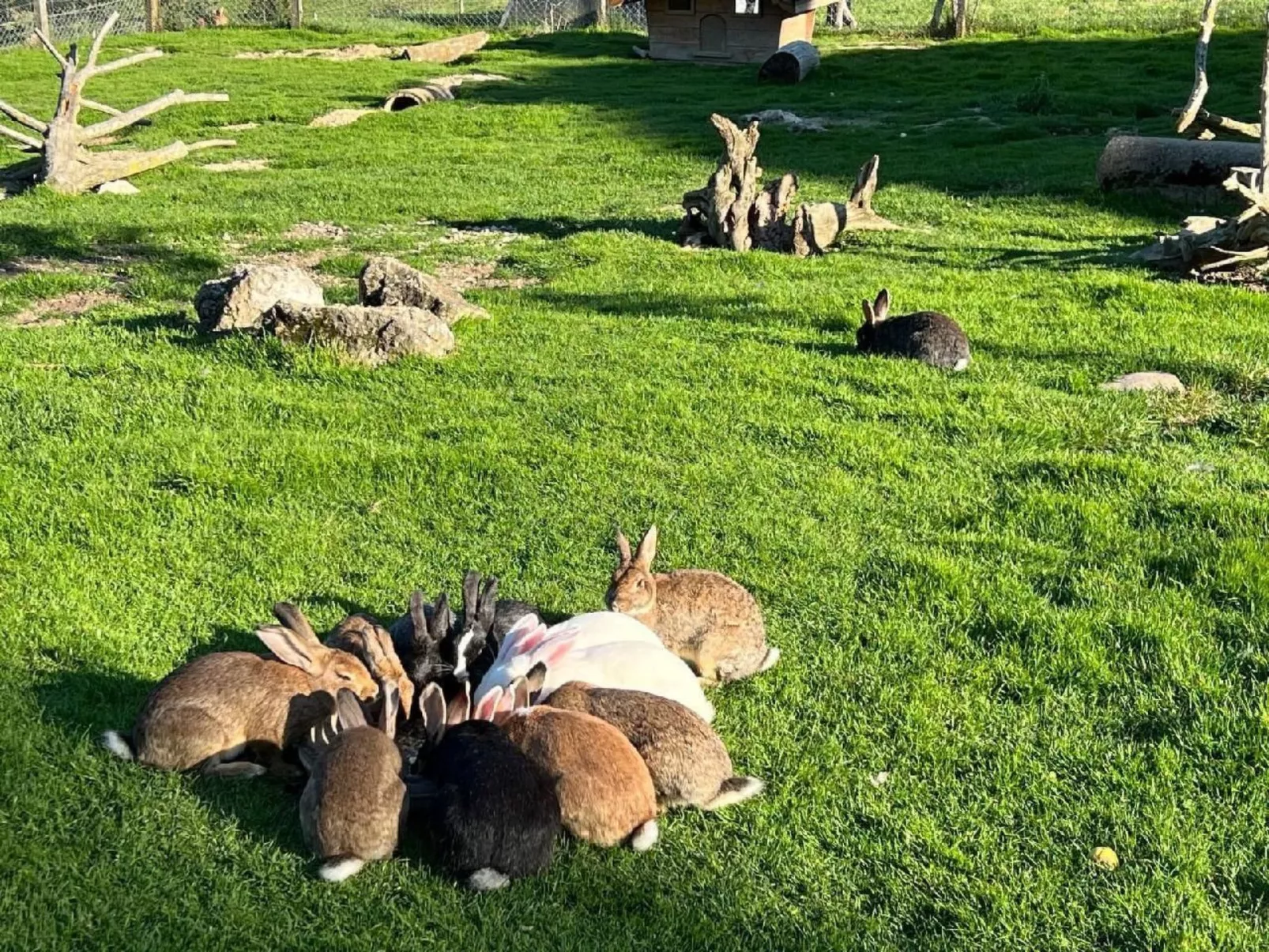 Schafmatthof 1 Obergeschoss - Draußen