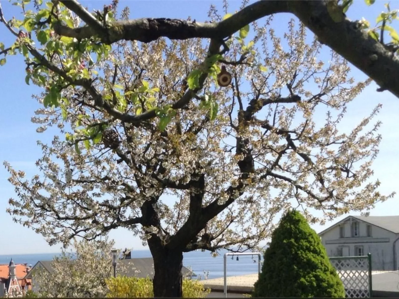 Strandläuferle - Outside