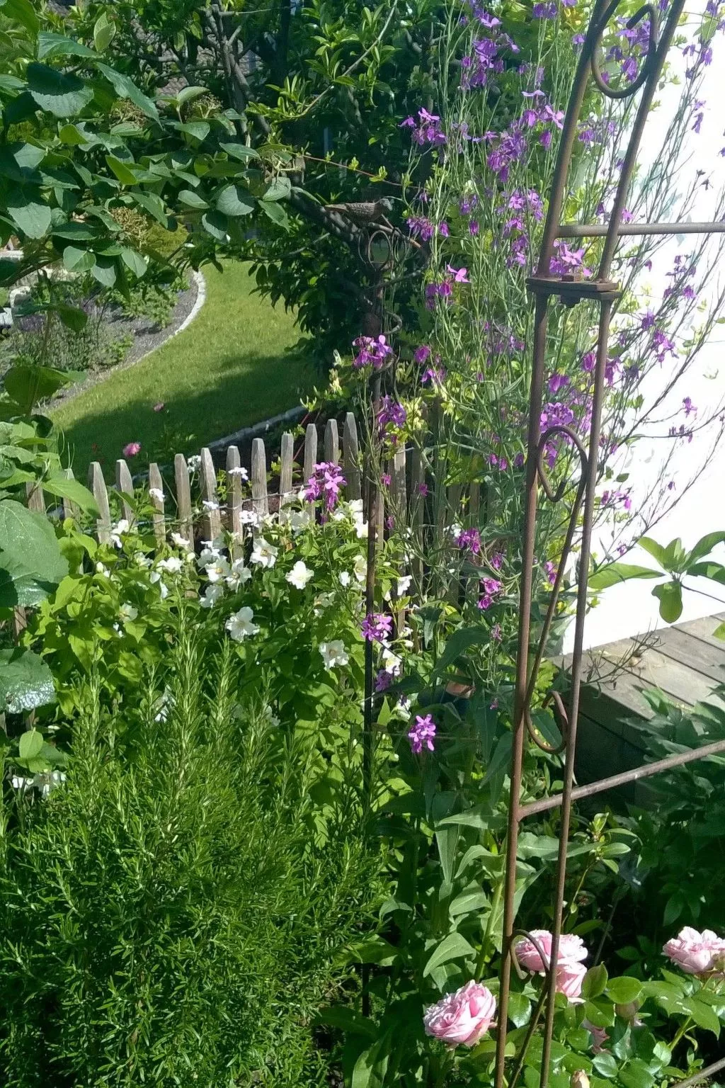 Villa Romantica - Outside