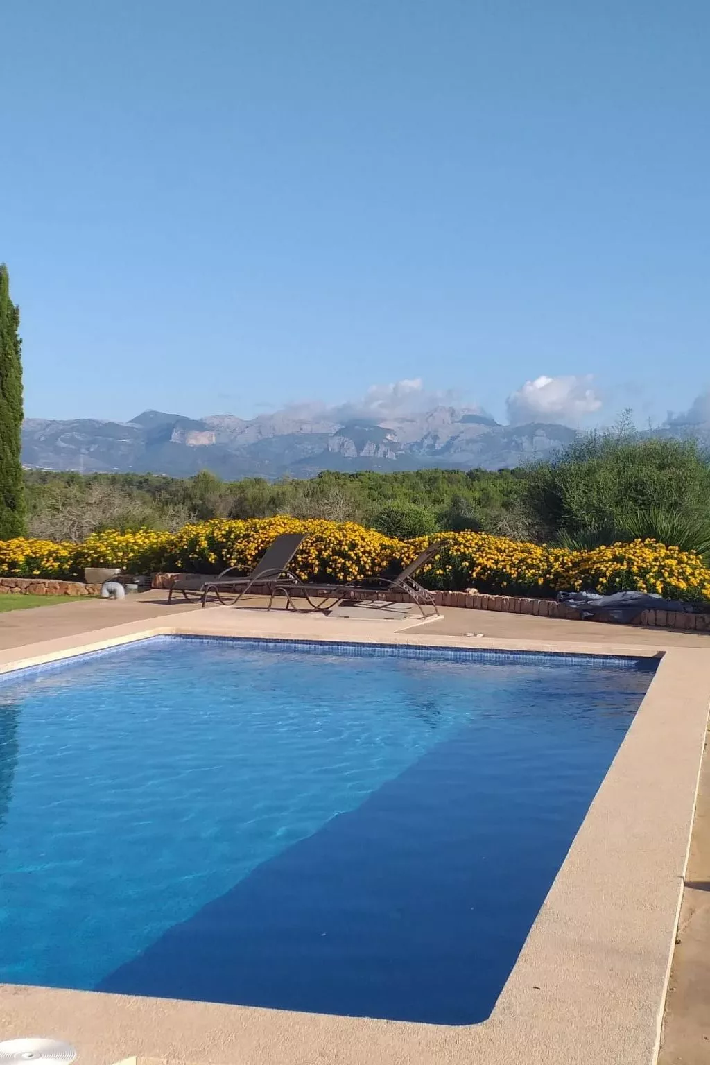 Villa "Cas Nins" - Draußen