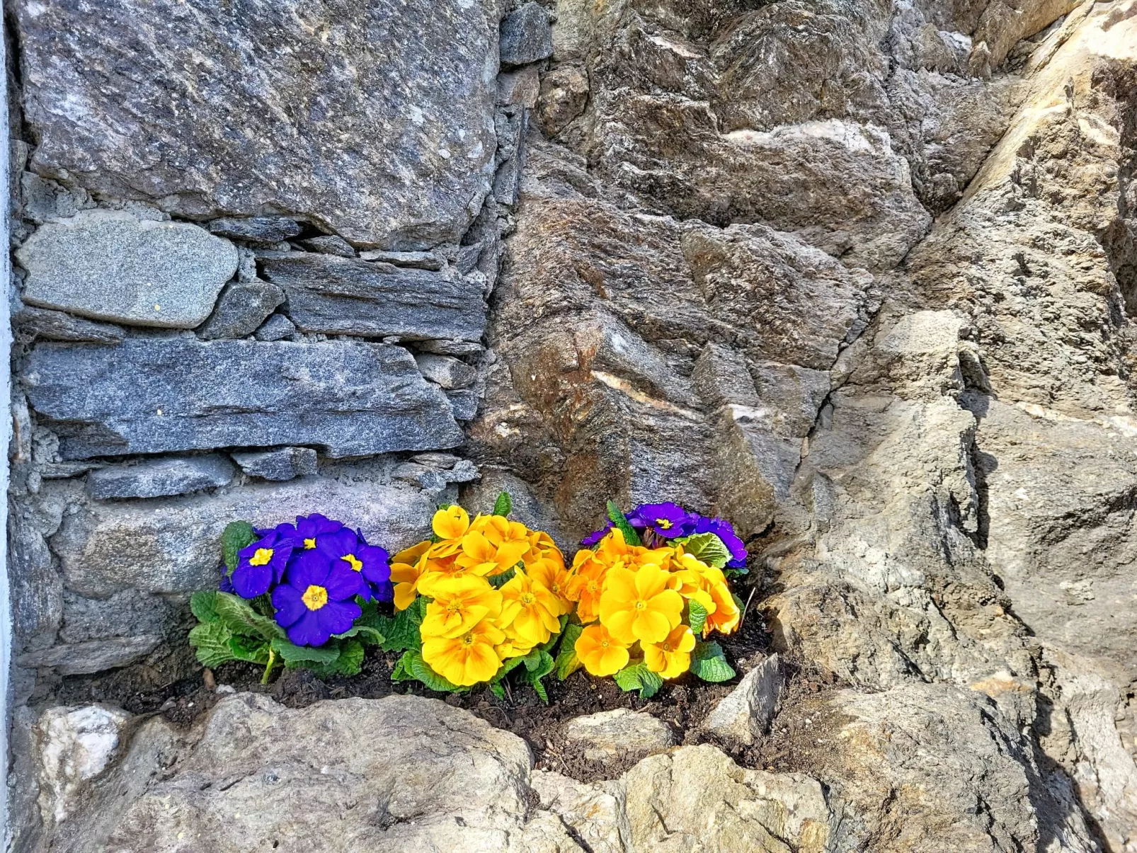 Apt. Tana dei Leoni - Dehors