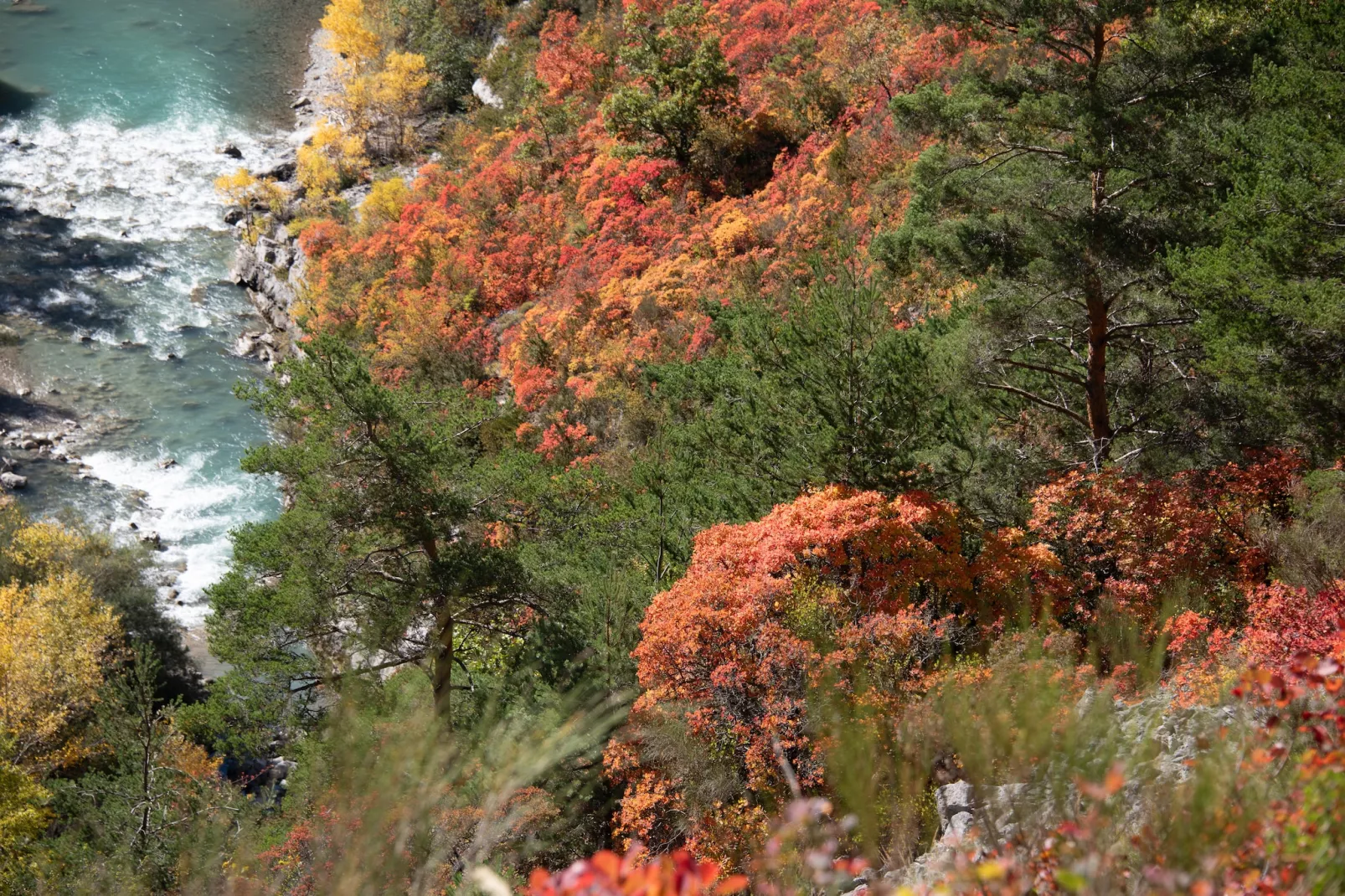 Gîte Guillaume - Ambiente