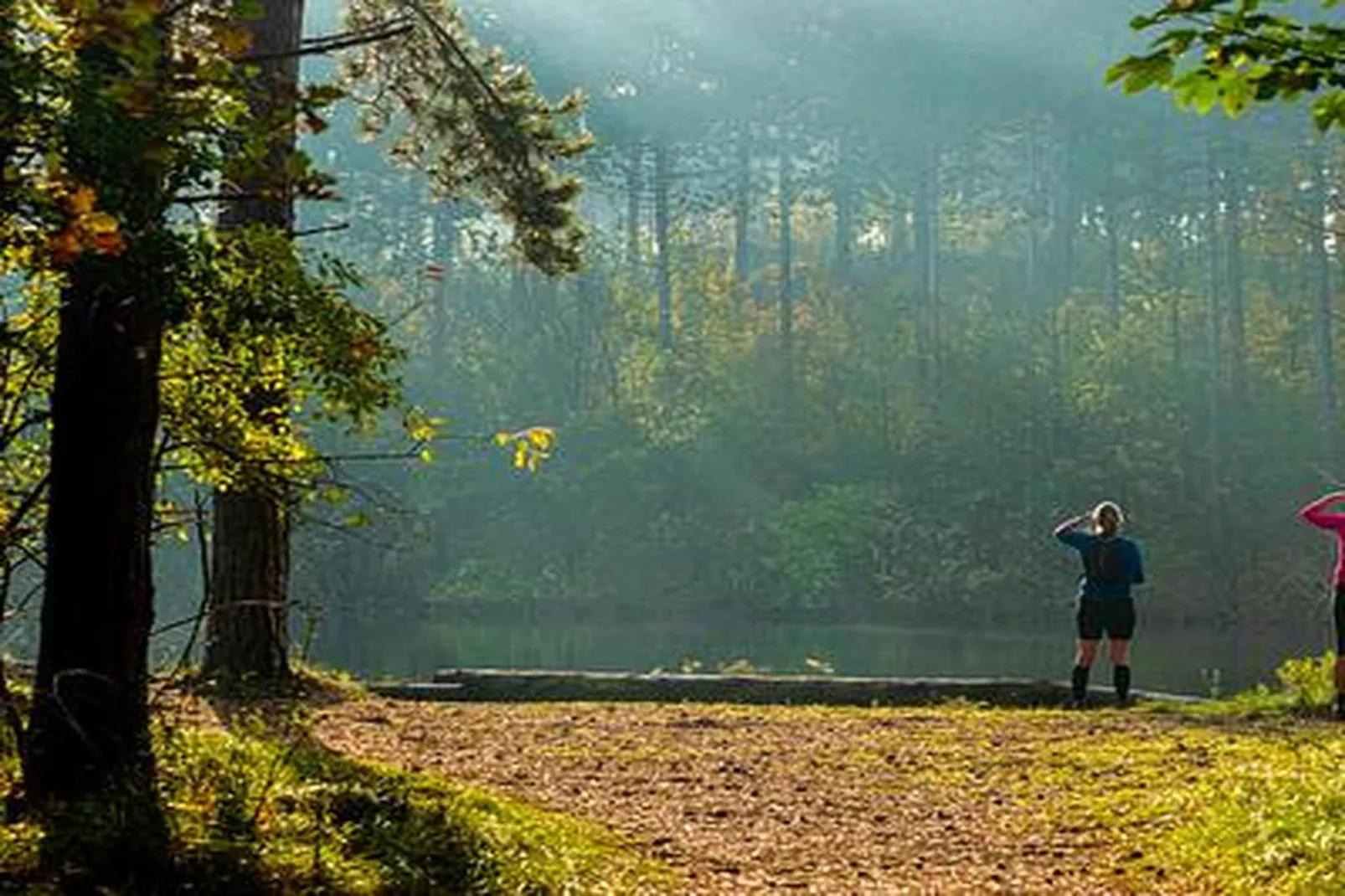 Duinhoeve Chalet Zeeland (huisdier toegestaan) - Areas within 5km in summer