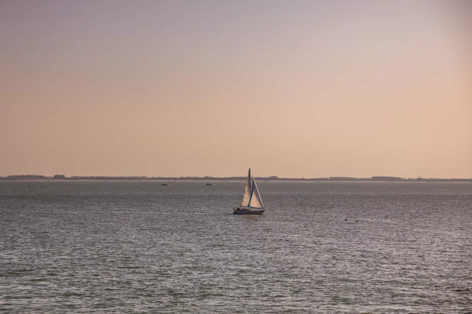 Noordzee Resort Vlissingen 4-Areas summer 5km